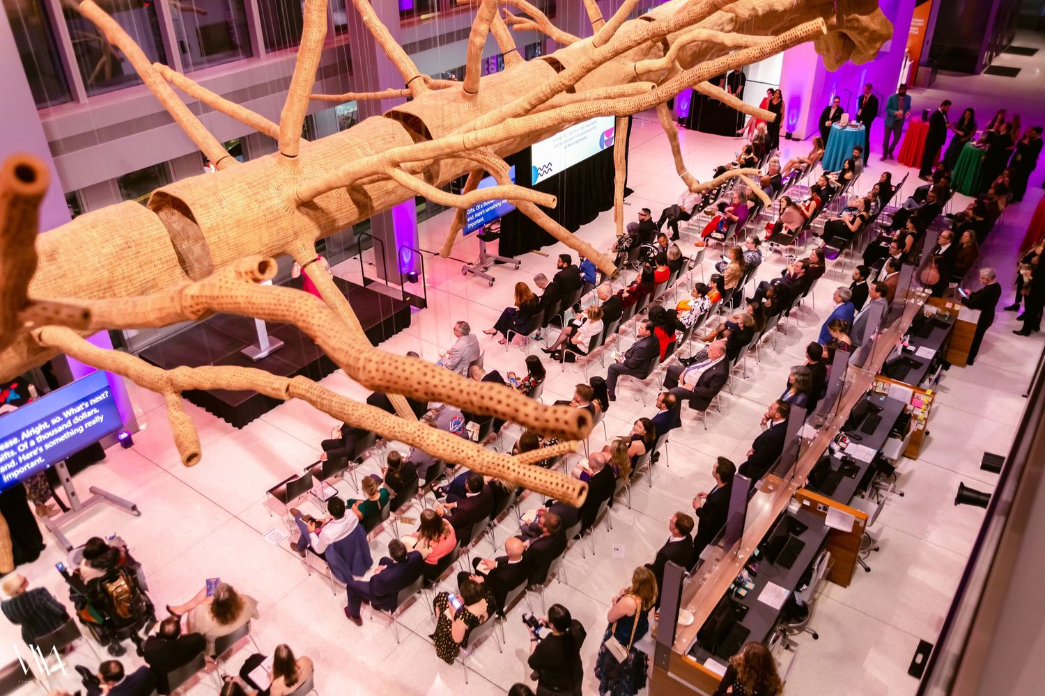 Events - White Moth Studio