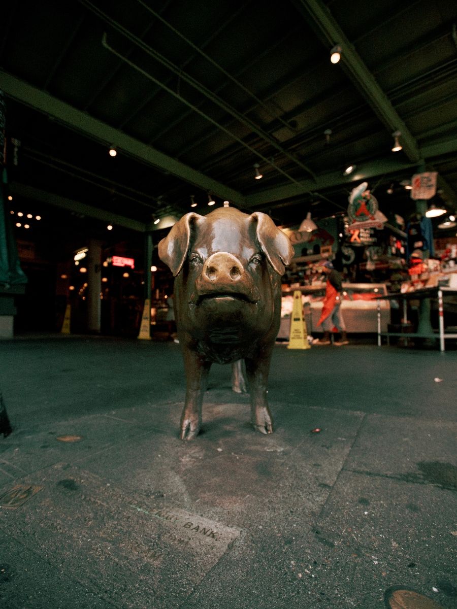 Bronze pig statue at Pike Place Market in Seattle, Washington, displayed indoors at night with market stalls in background.