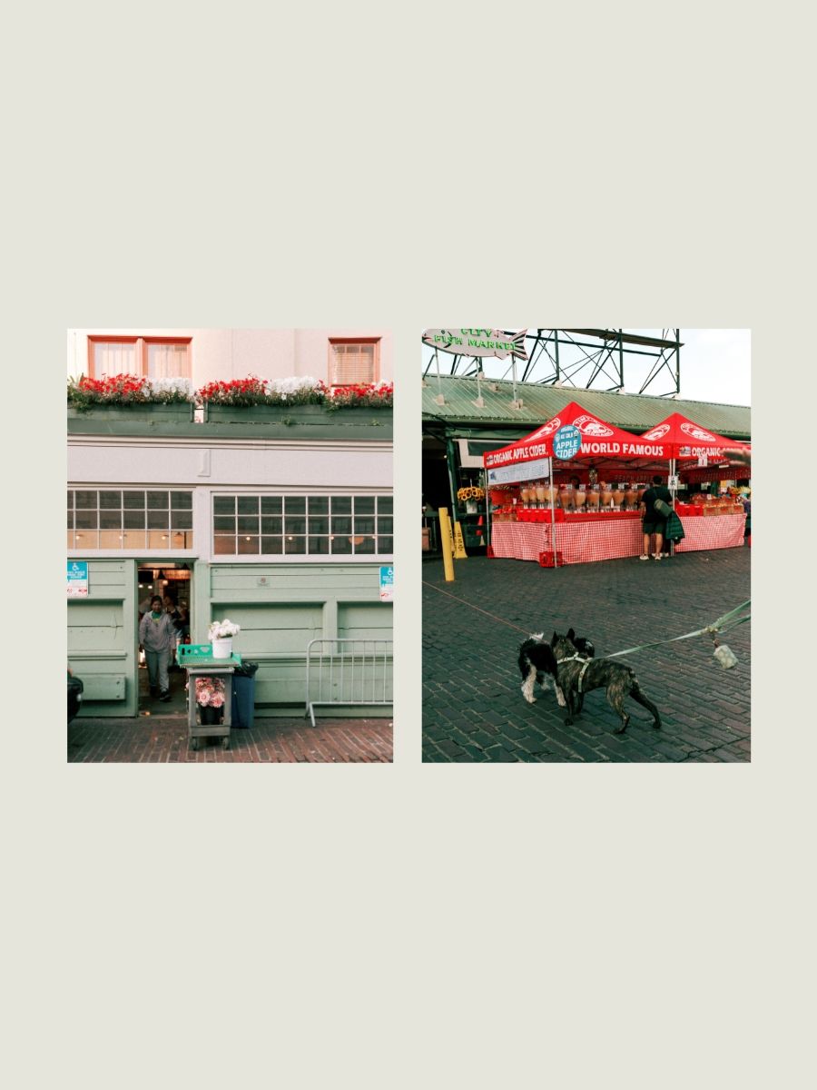 Two film photos: a pink storefront with flowers and a red World Famous market stall with a dog walking by.