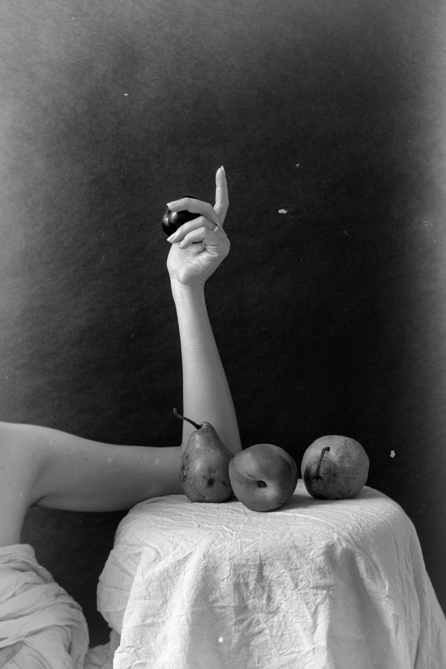 Seattle Editorial Family & Maternity Photography Captured by Dasha Denger of White Moth Studio