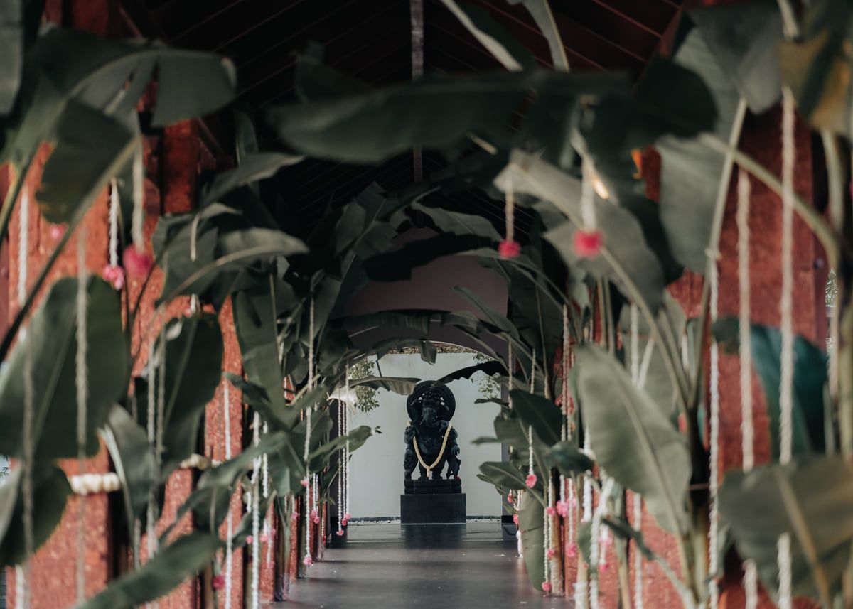Dramatic corridor lined with tropical plants creating a natural archway leading to a distant focal point.