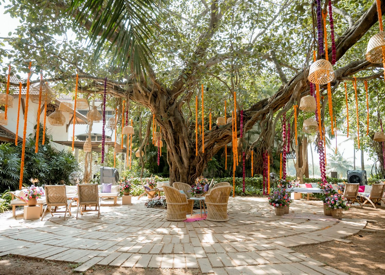 Palm trees and lounge chairs create a tranquil tropical resort setting beside walkways in the afternoon sun.