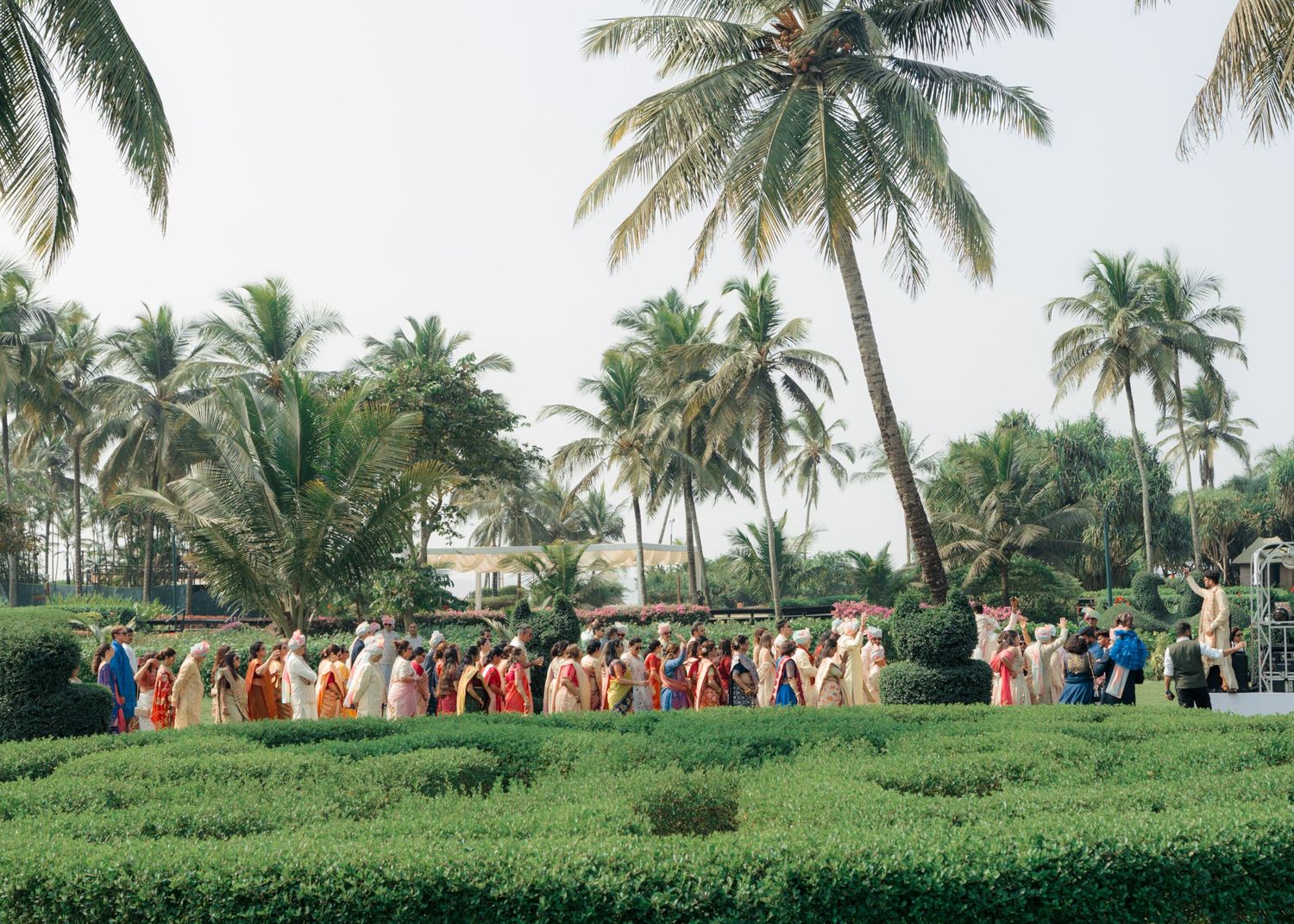 A panoramic collage of tropical palm trees and lush greenery along a scenic coastal landscape with people gathered outdoors.