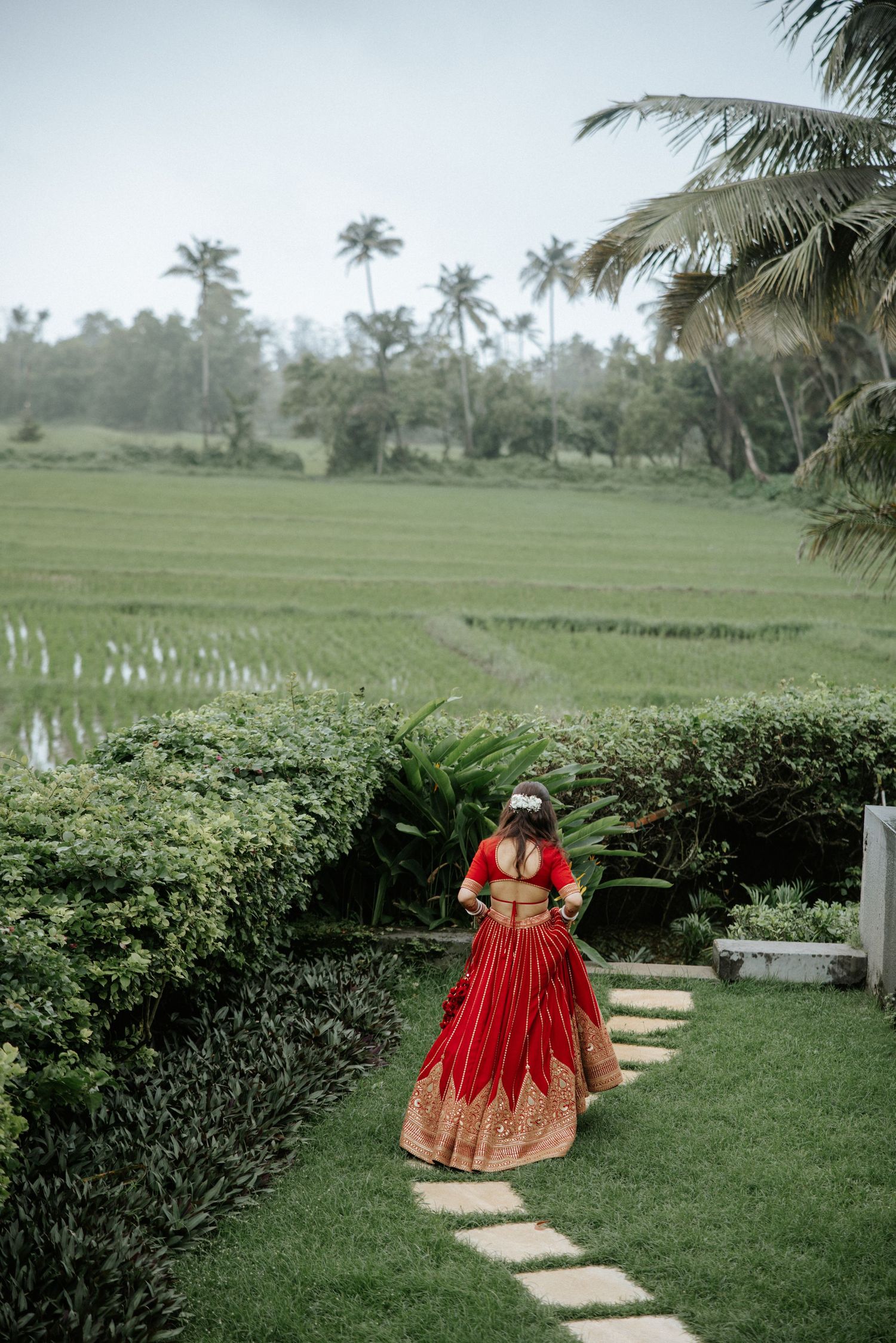 Woman in red and gold lehenga walks along garden path beside lush rice fields and palm trees.
