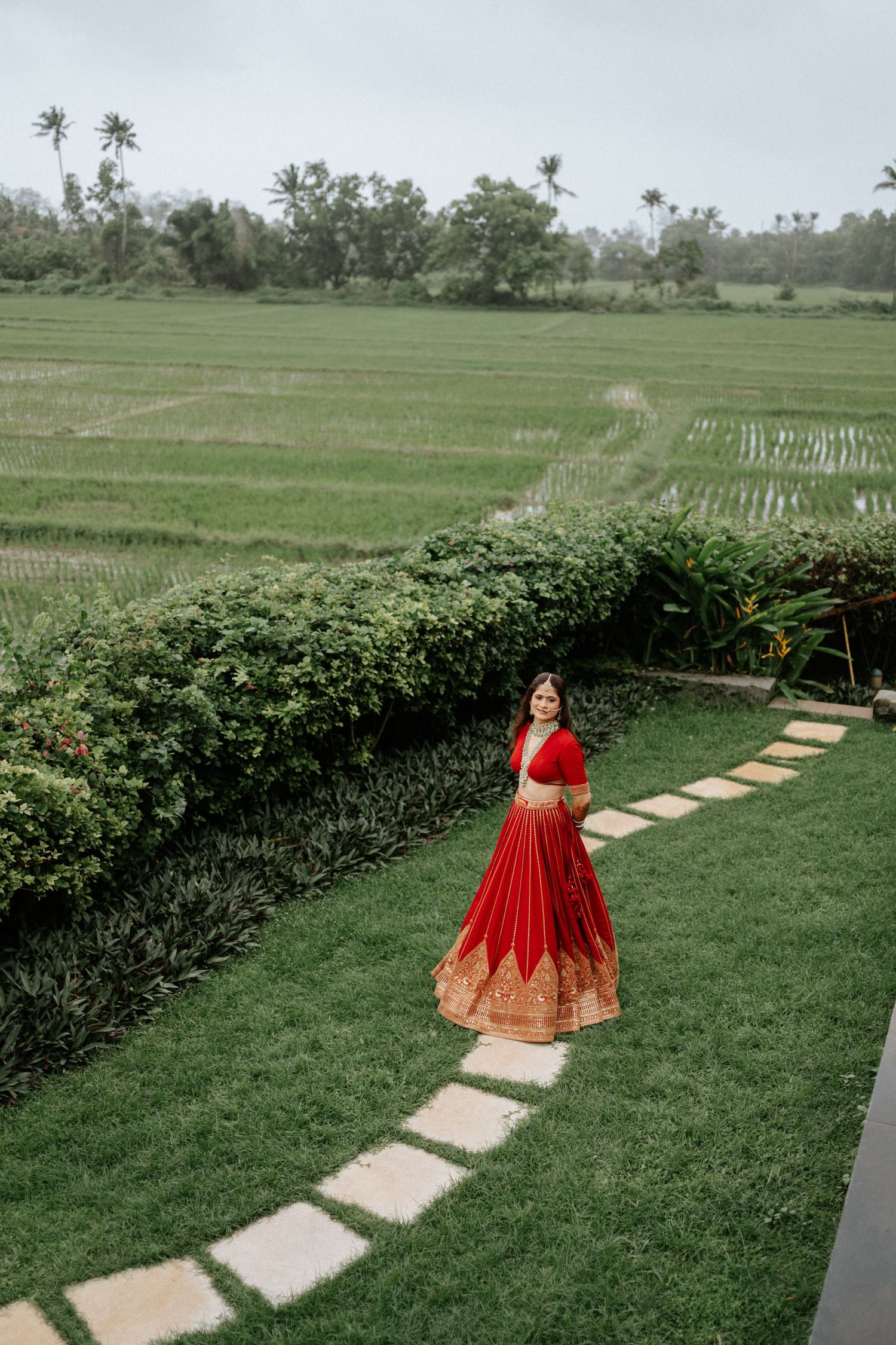 Bride in red and gold lehenga standing on stepping stone path beside lush green rice fields.