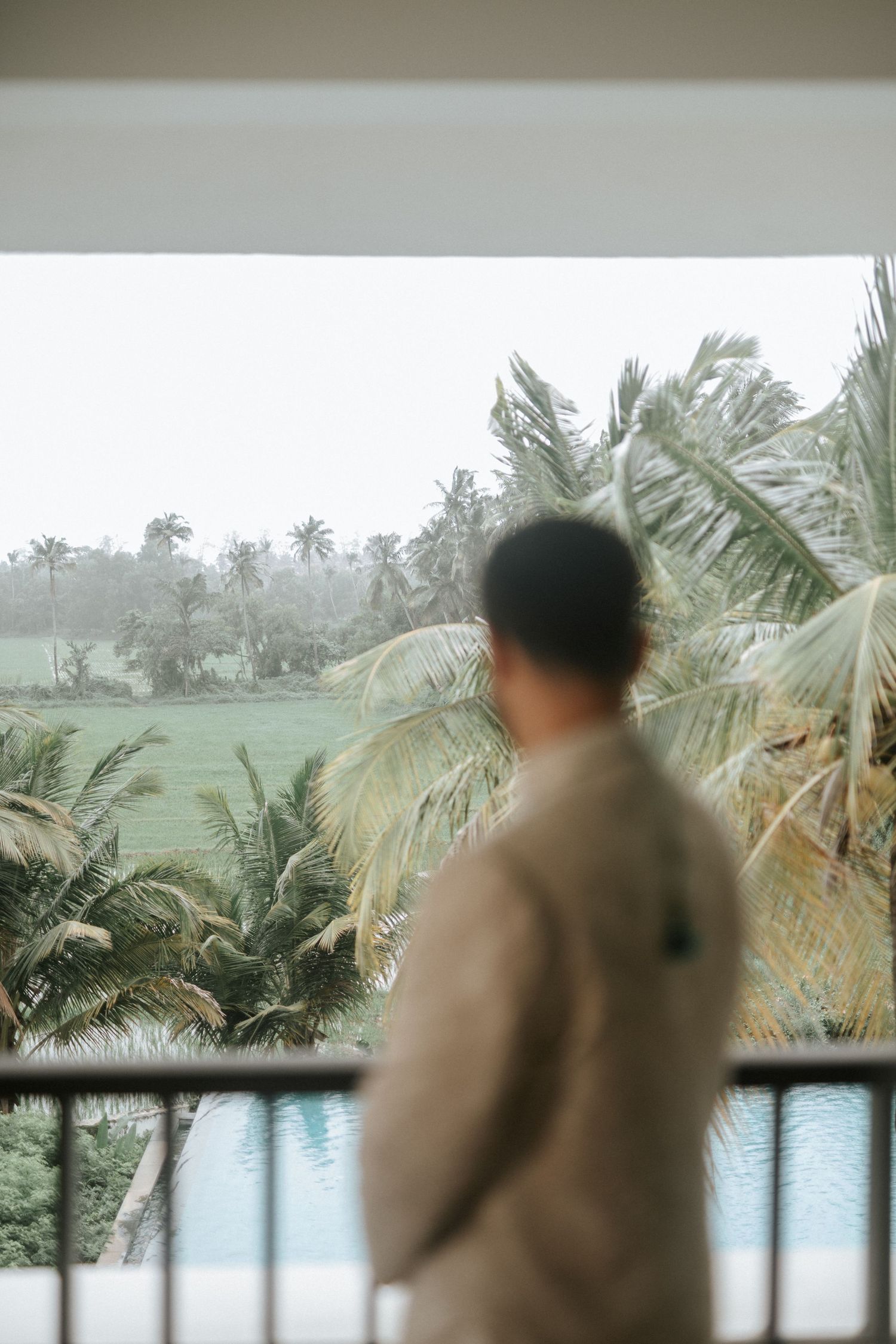 Man in light suit stands on balcony overlooking lush tropical palm trees and green rice fields on a misty day.
