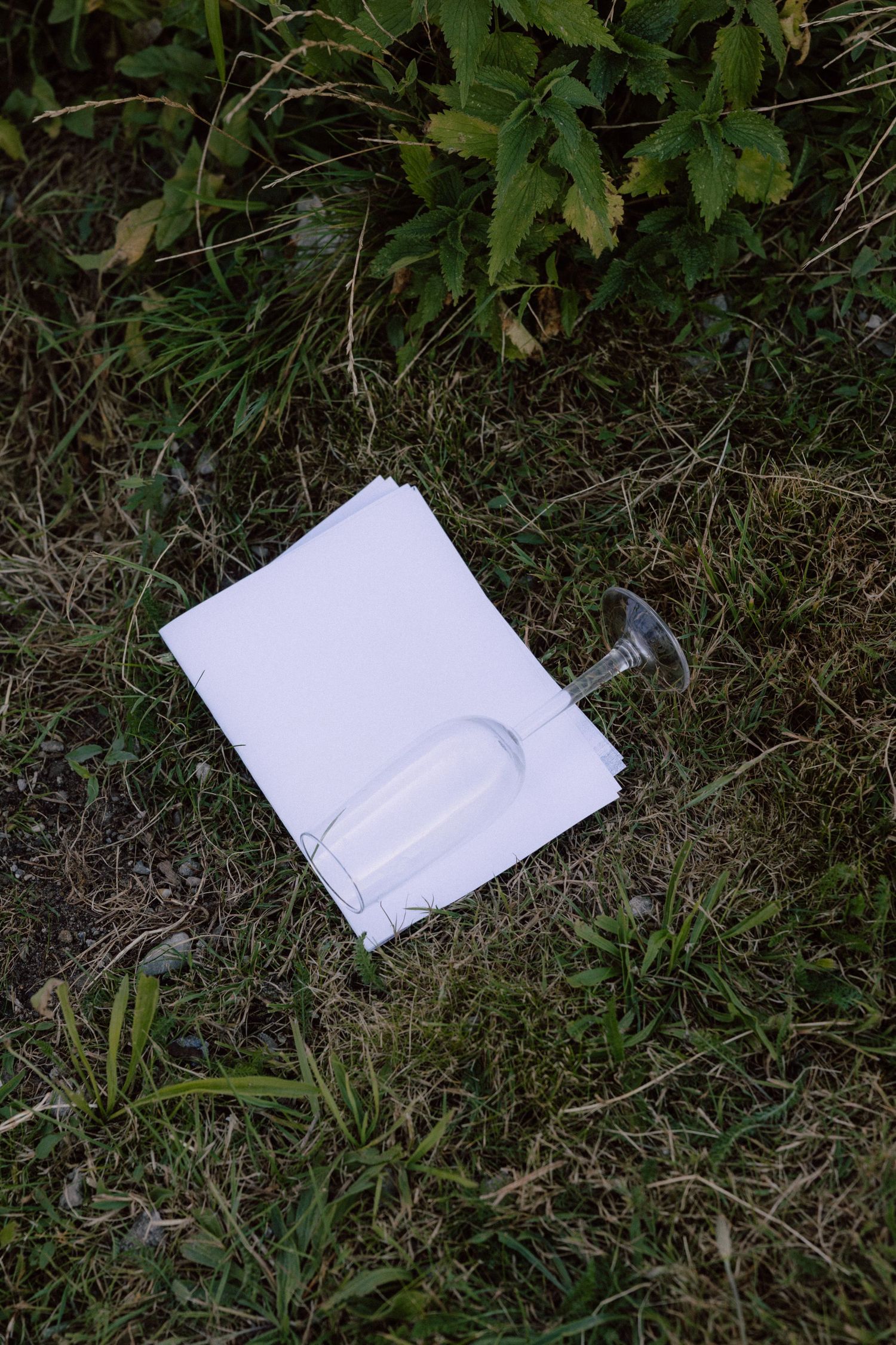 White napkin and glass lying on grass outdoors.