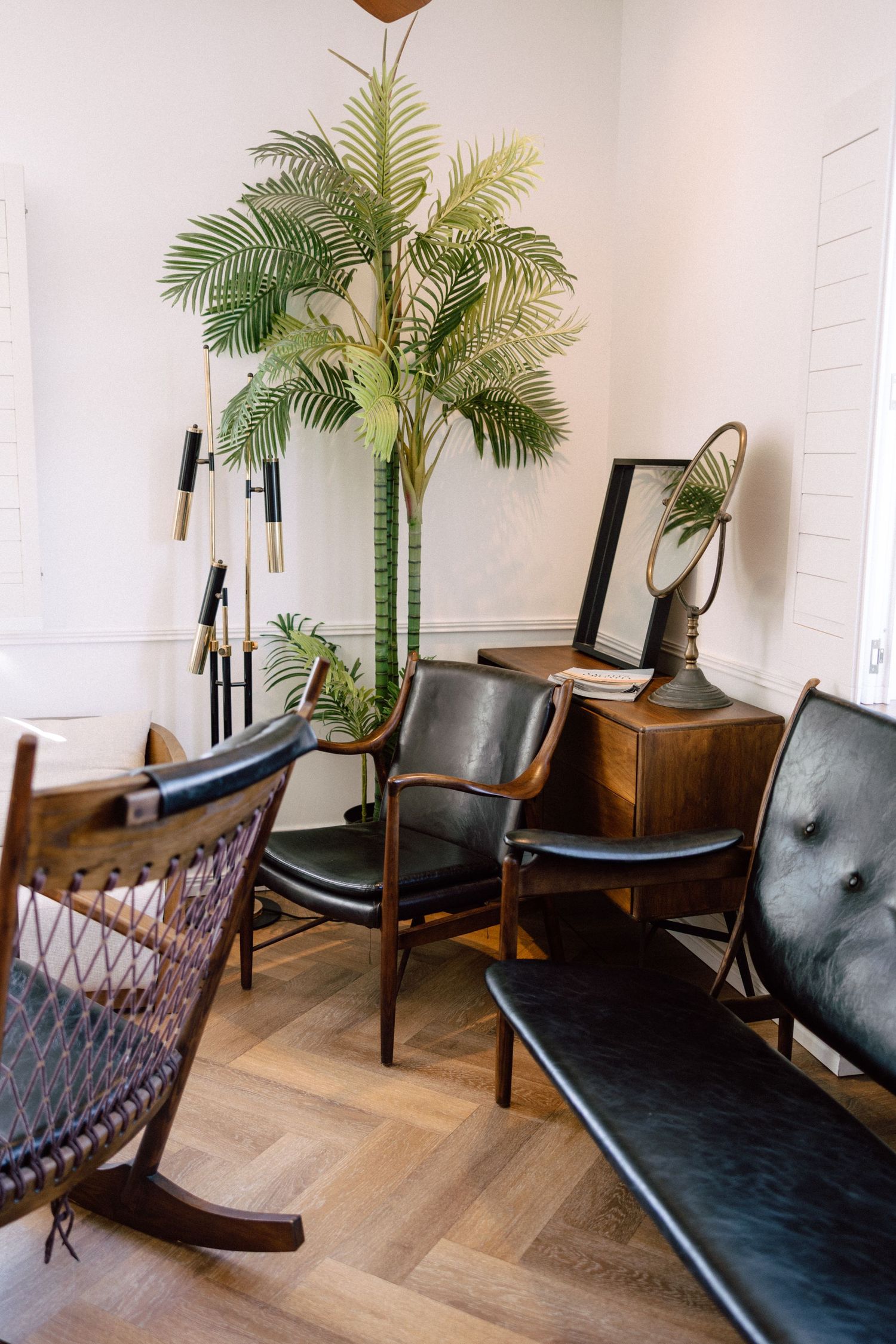 Mid-century modern interior with leather chairs, wooden furniture, and a tall indoor palm plant.
