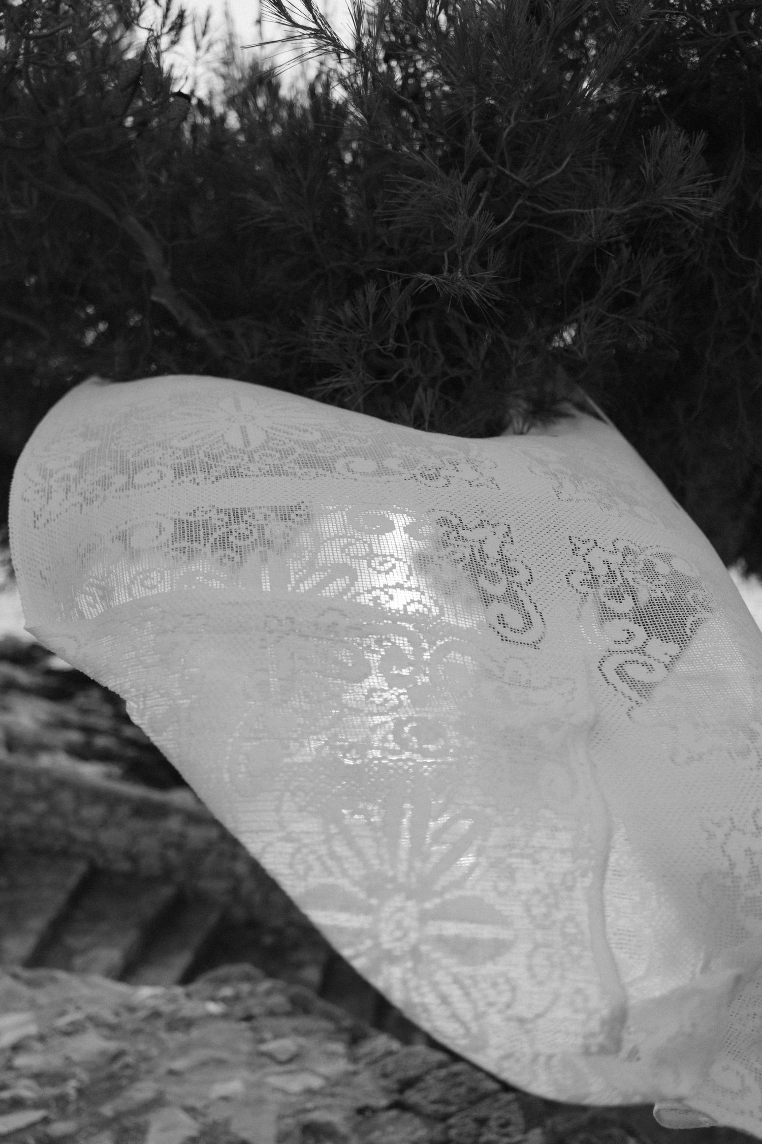 Black and white photo of a white lace fabric with floral patterns blowing in the wind near pine trees outdoors.