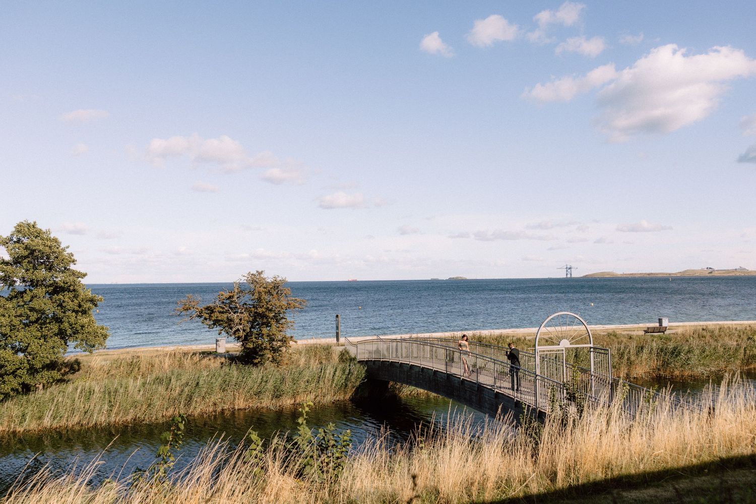 A scenic coastal landscape with wooden bridge crossing over marshland to the ocean.