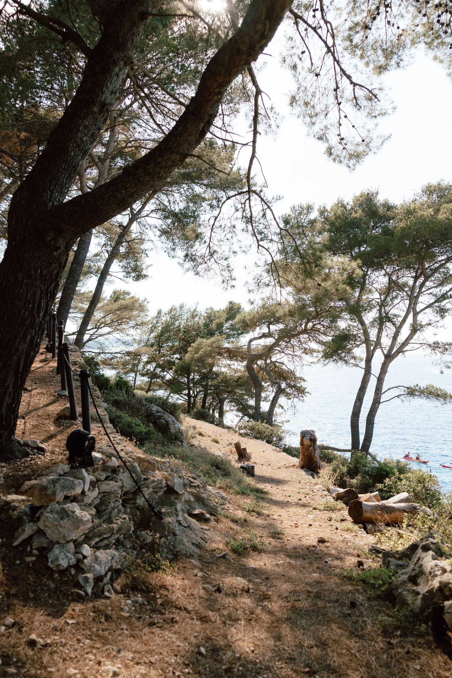 Pine trees line a rocky coastal hillside path with blue sea visible through the branches.