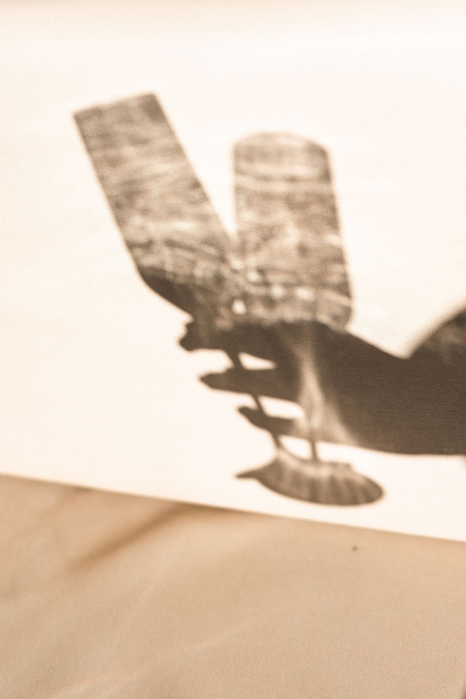 Artistic shadow of two champagne flutes being toasted at a wedding celebration.