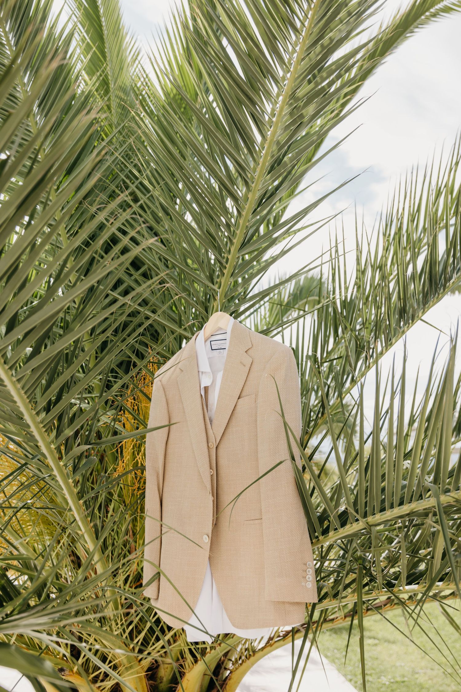 Beige wedding outfits hanging among palm fronds in tropical setting.