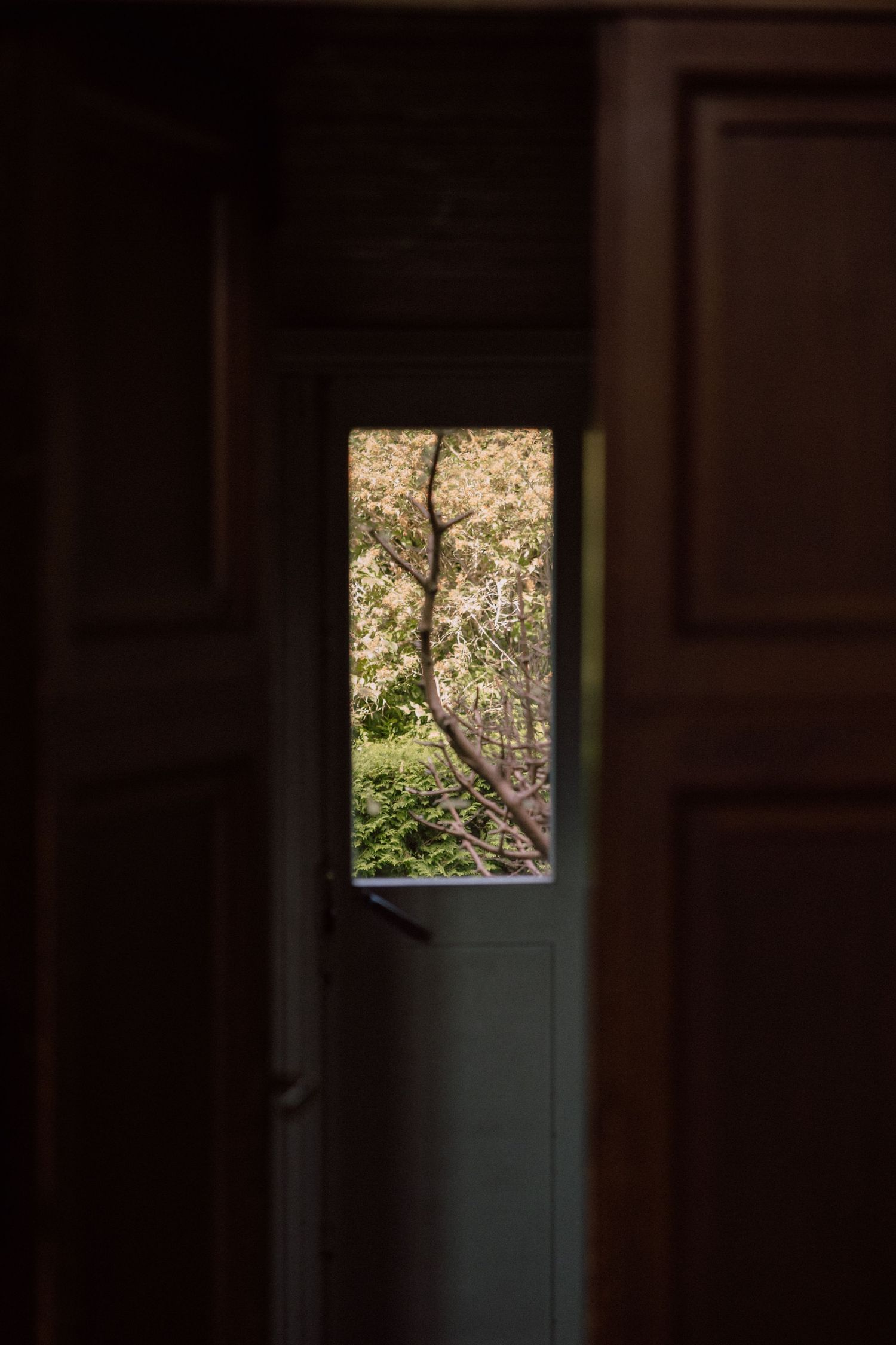 Small square window in a dark room revealing bright outdoor foliage.