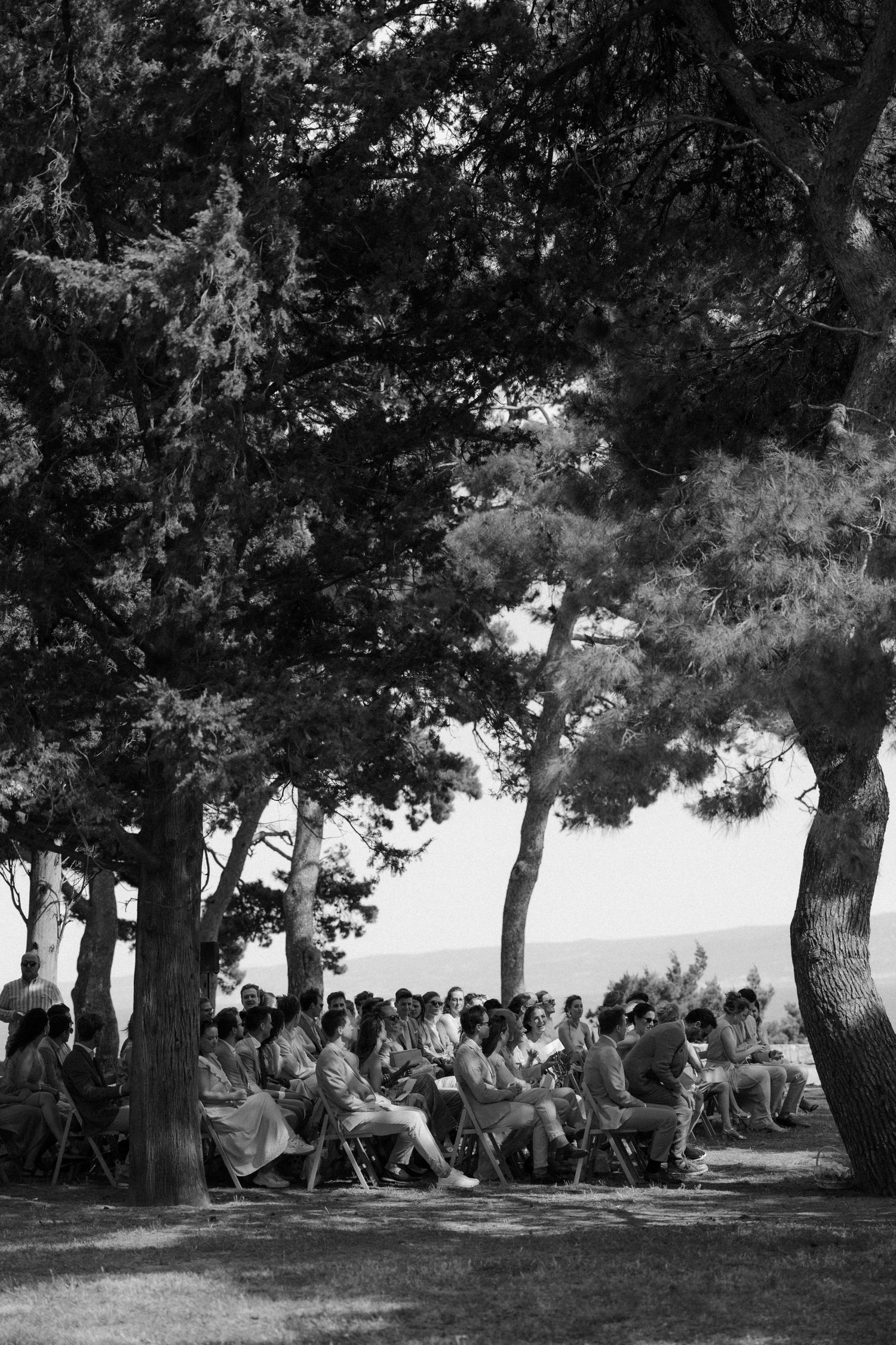 Black and white photo of guests seated outdoors under tall pine trees during an elegant garden ceremony.