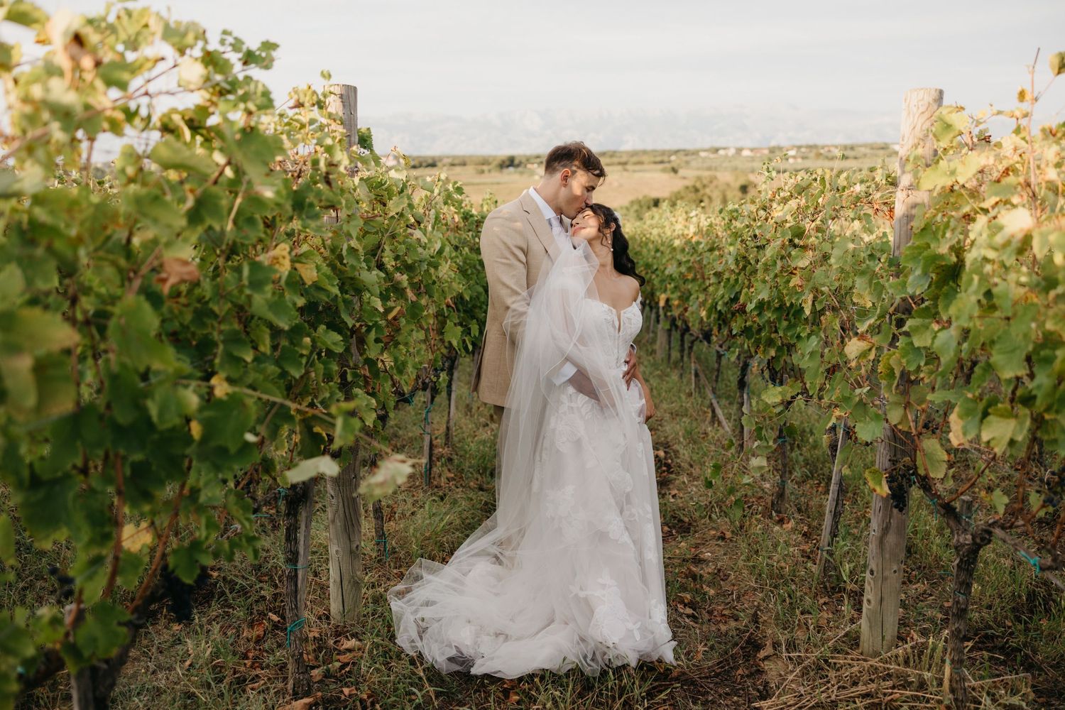 Wedding couple poses for romantic portraits among vineyard rows at sunset.
