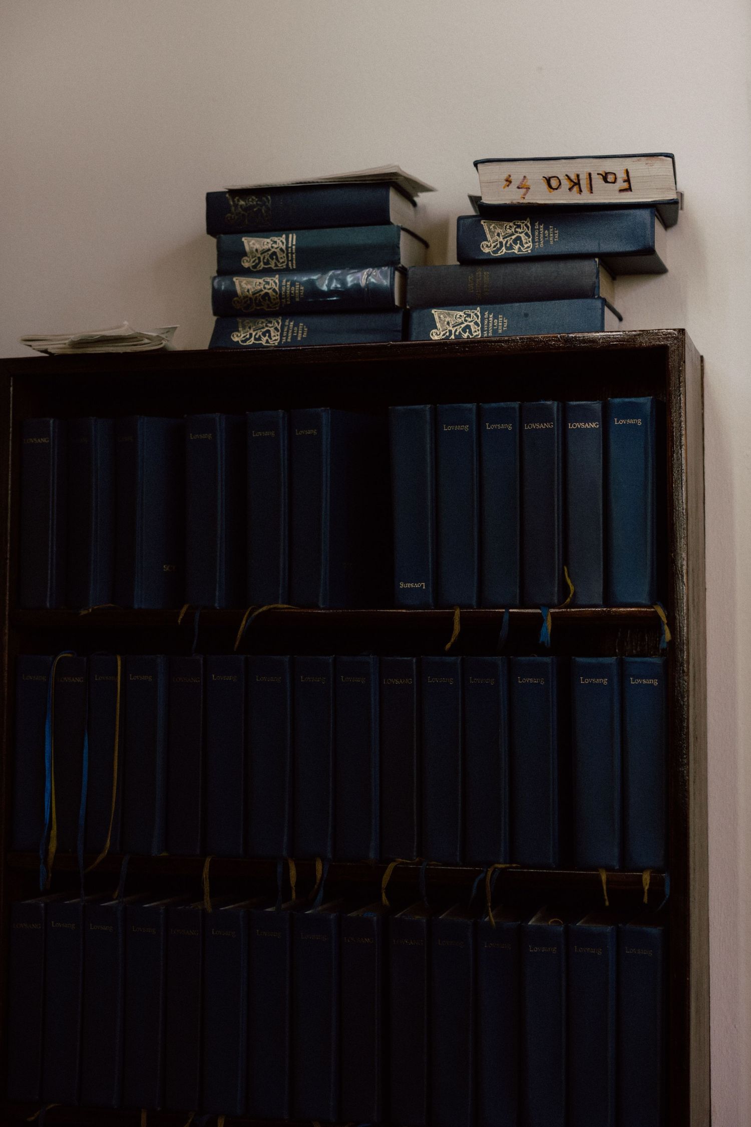 Row of dark blue books arranged on a shelf against a white wall.