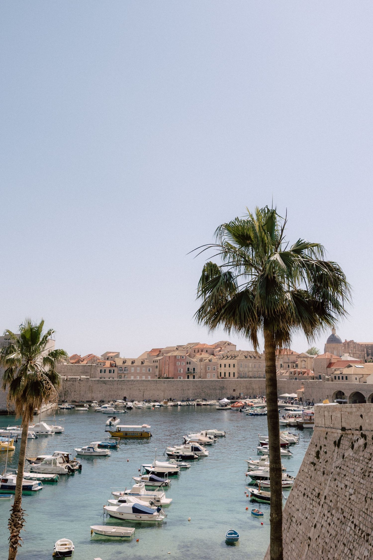 Mediterranean harbor view with palm trees and boats docked along stone walls with terracotta roofed buildings.