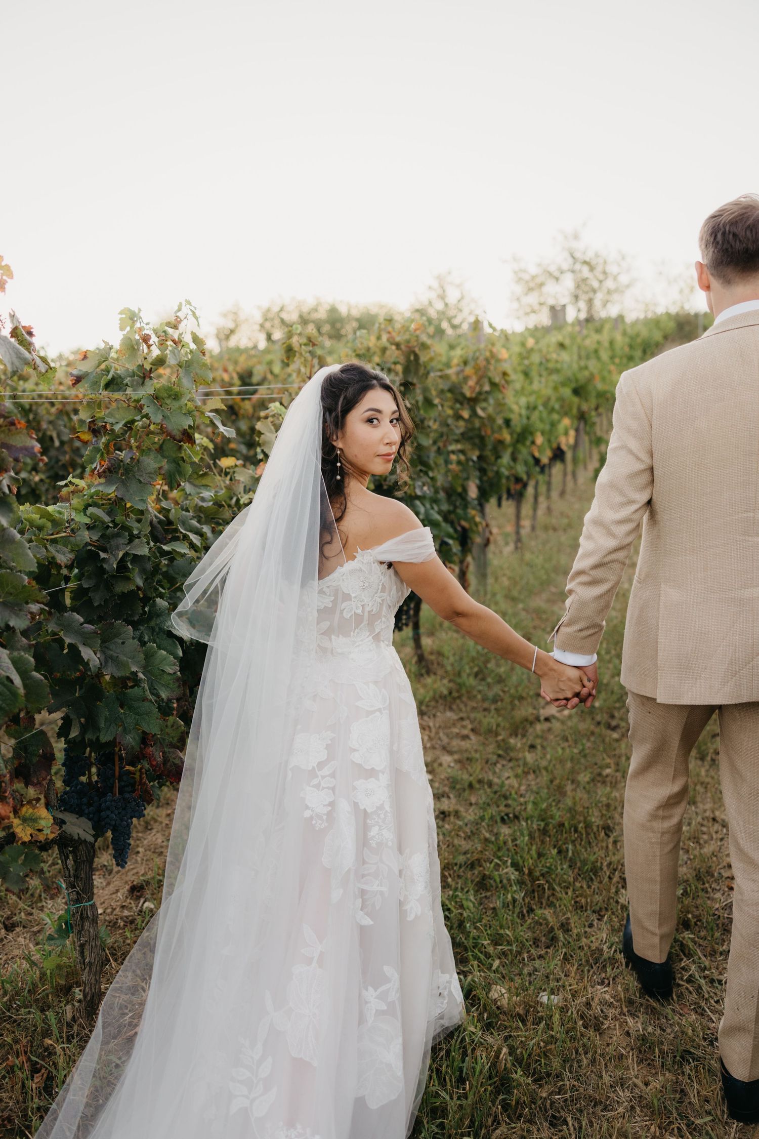 A wedding photoshoot takes place among vineyard rows at sunset.