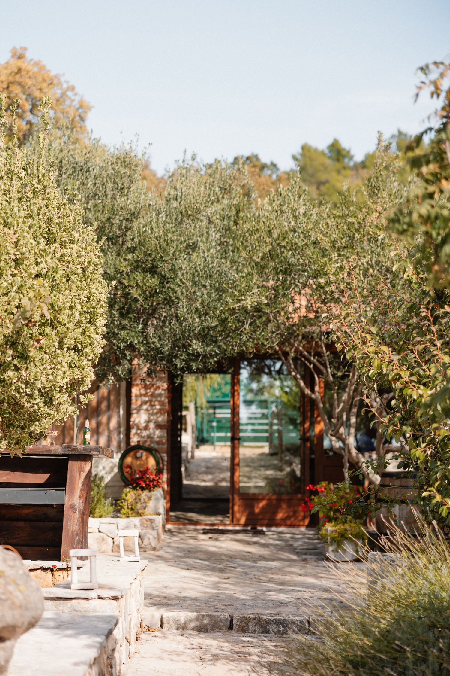 A rustic outdoor garden pathway with stone benches and lush greenery under a sunny sky.