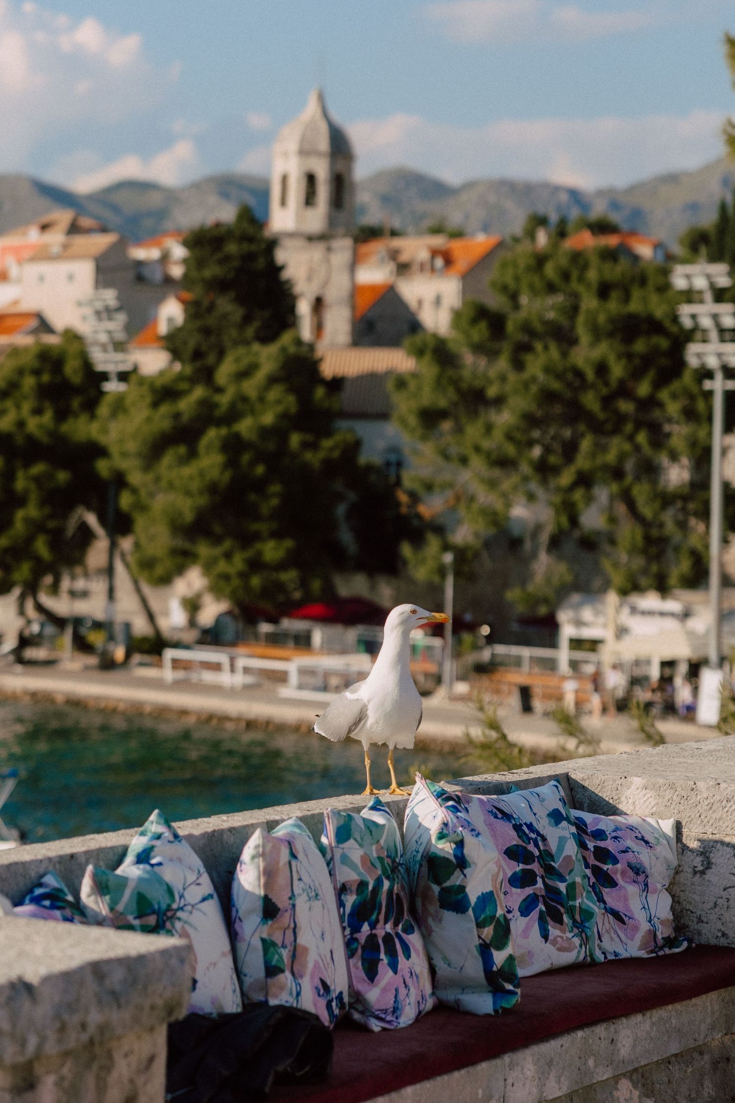 Seagull perched on stone wall with coastal town and mountains in background.