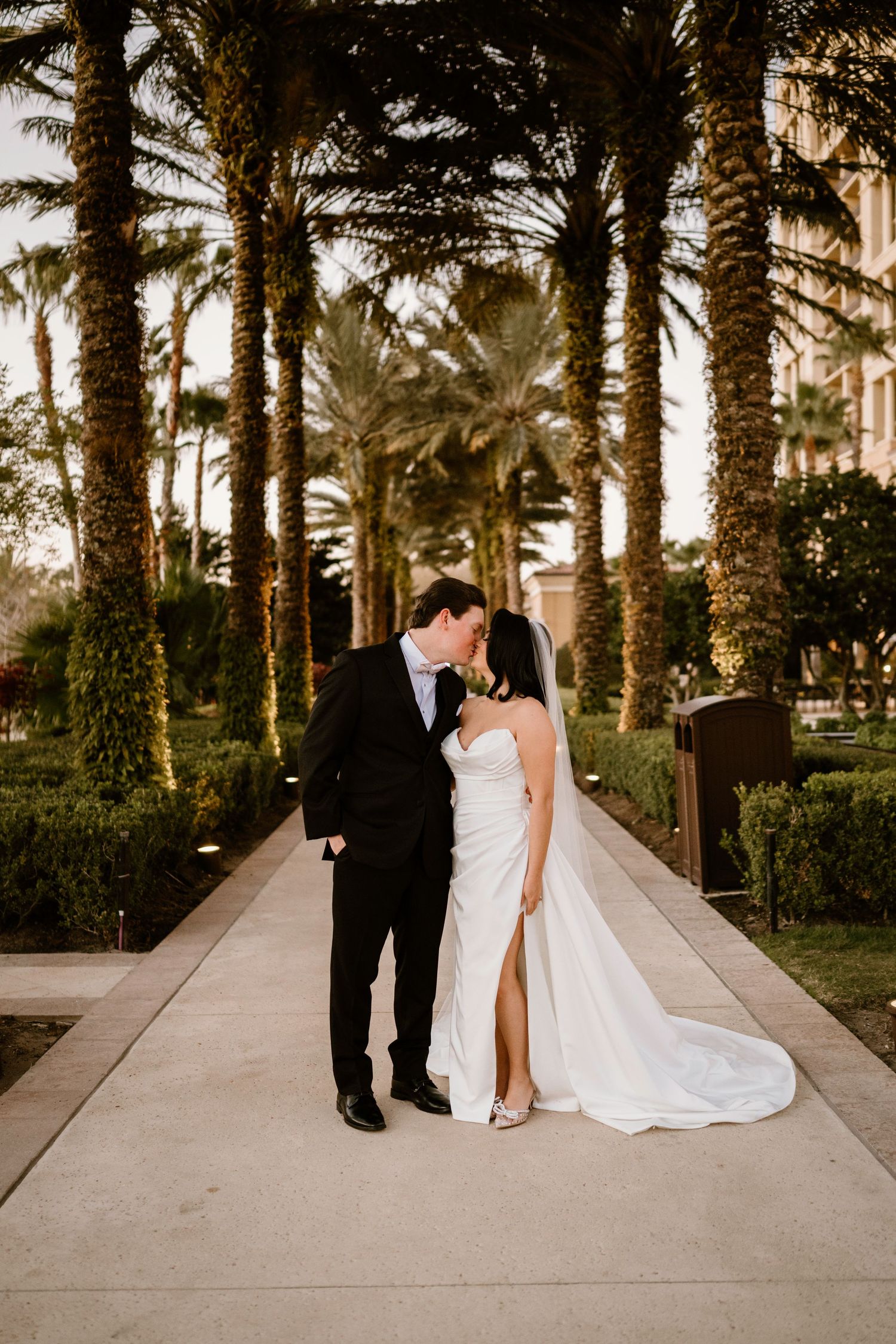 Elegant wedding photos taken on a palm tree-lined path at dusk.