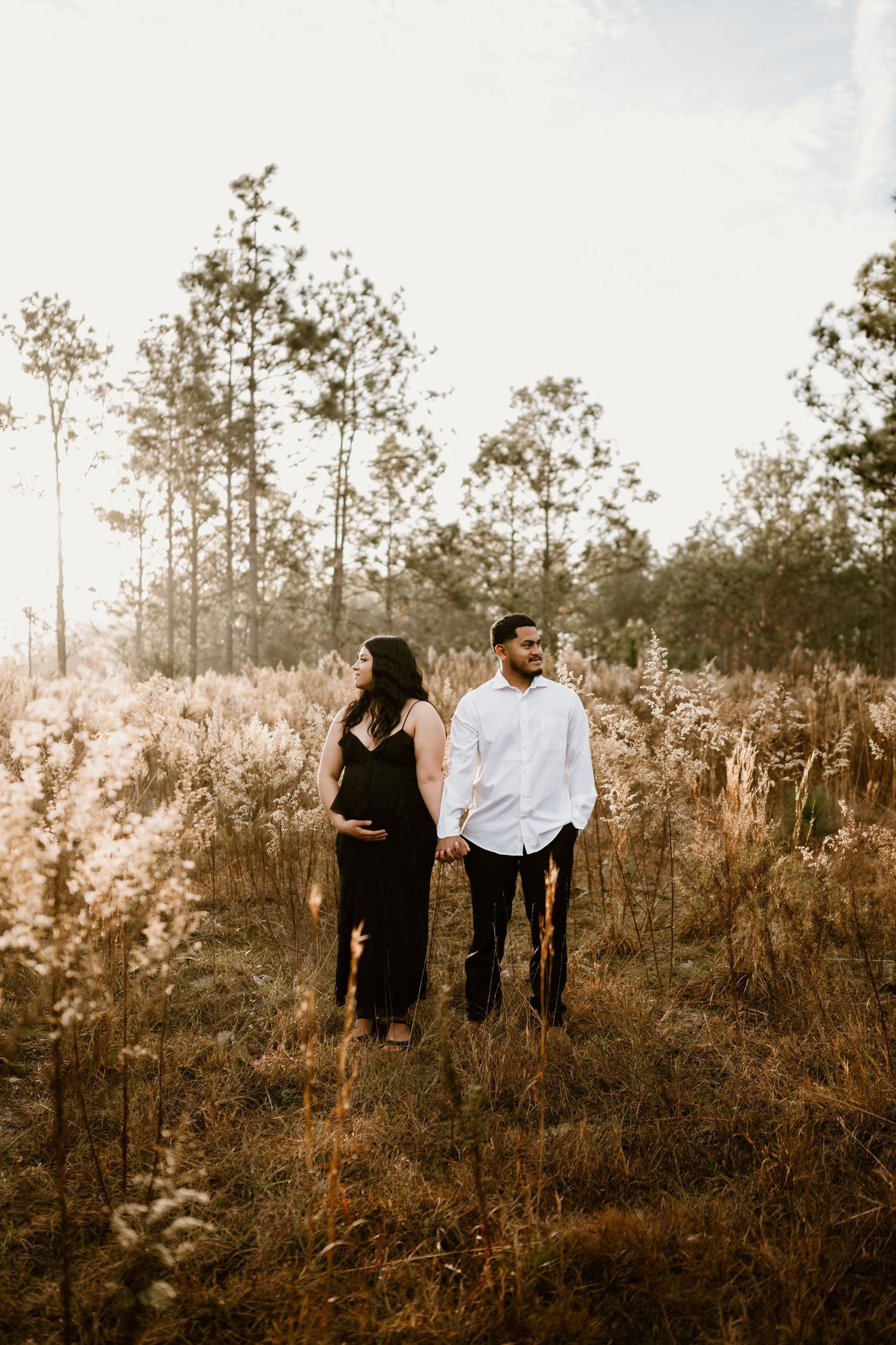 A couple stands together in a misty field with tall grass and pine trees during golden hour.