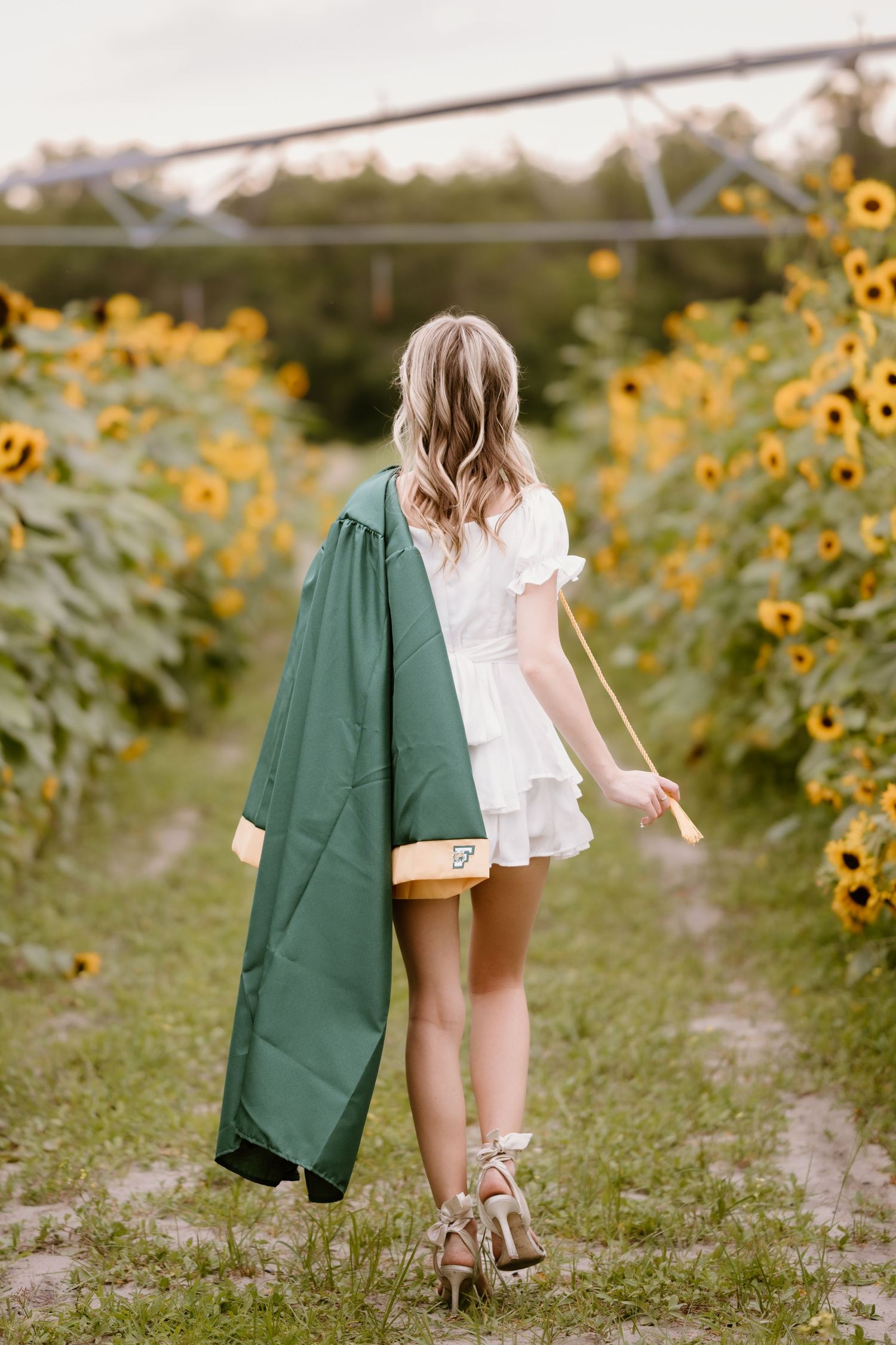 Green coat hangs while walking through sunflower field path.