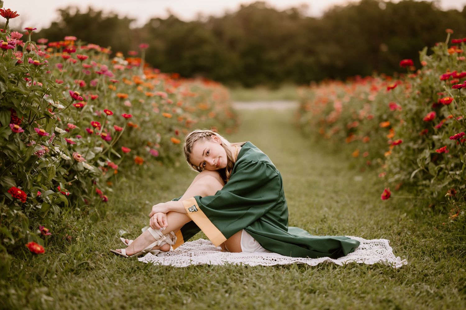 A photoshoot in a garden with red roses and natural lighting at sunset.