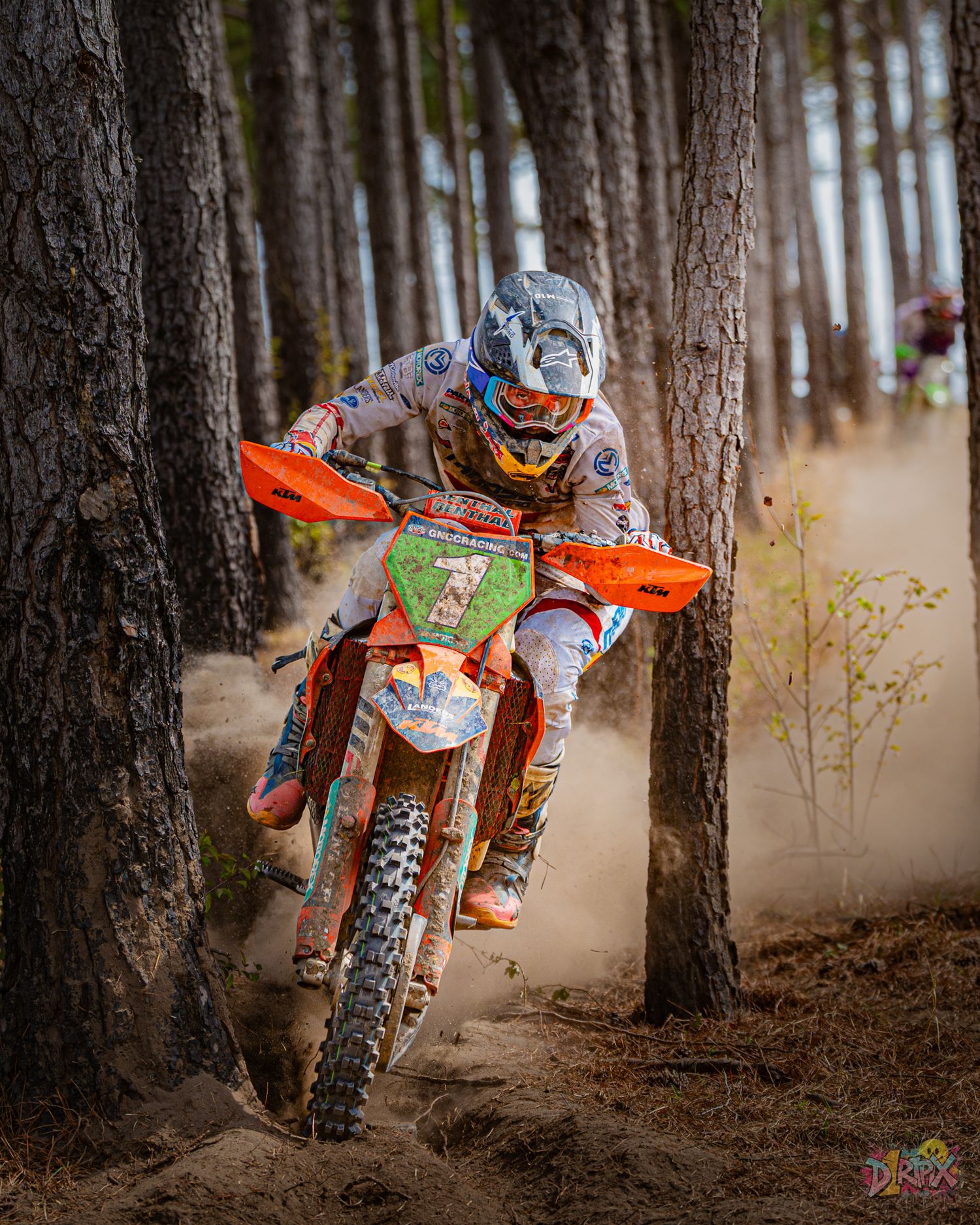 Orange dirt bike weaving through pine forest during off-road competition.