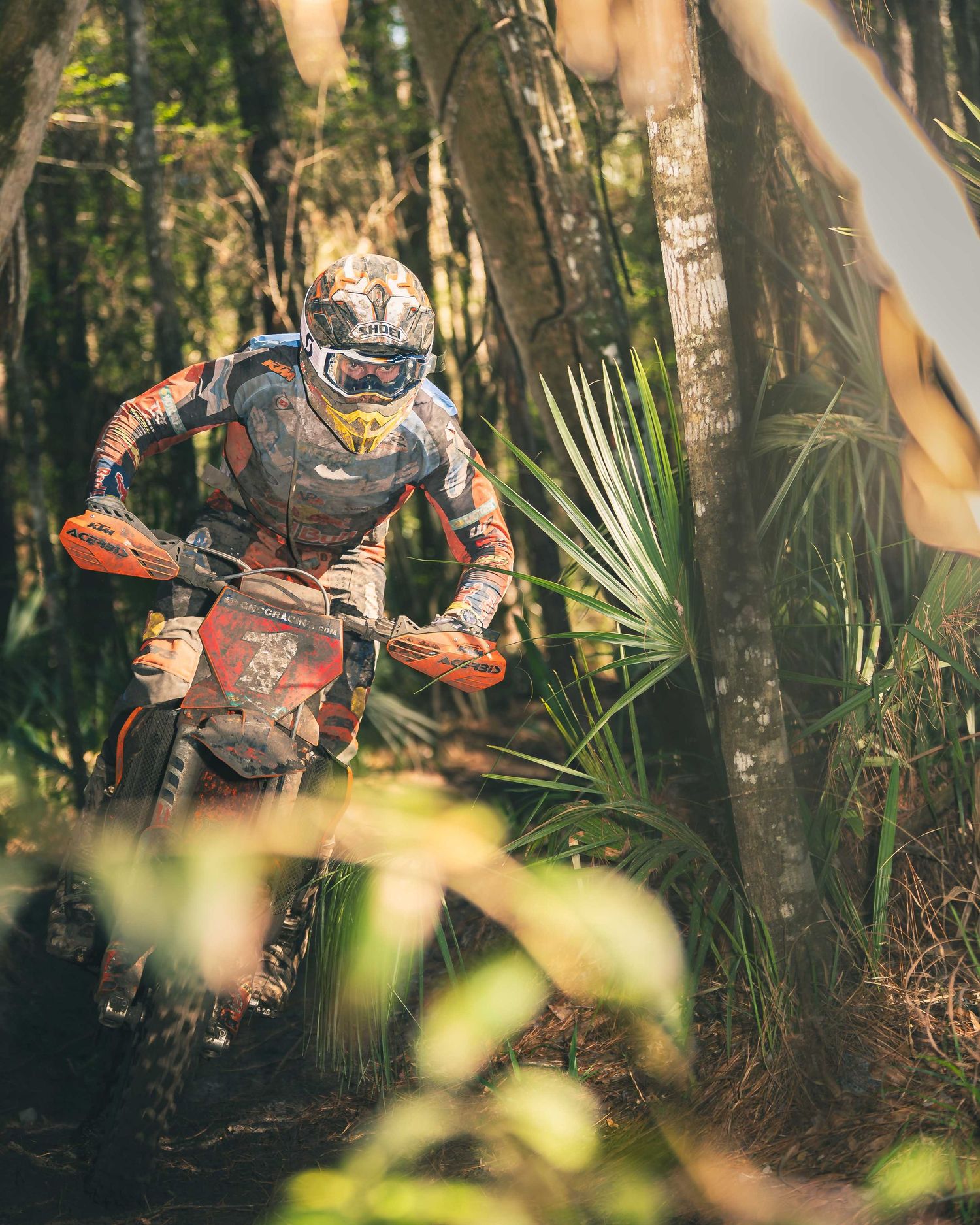 A motocross rider navigates a KTM dirt bike through a dense forest trail wearing full racing gear and helmet.