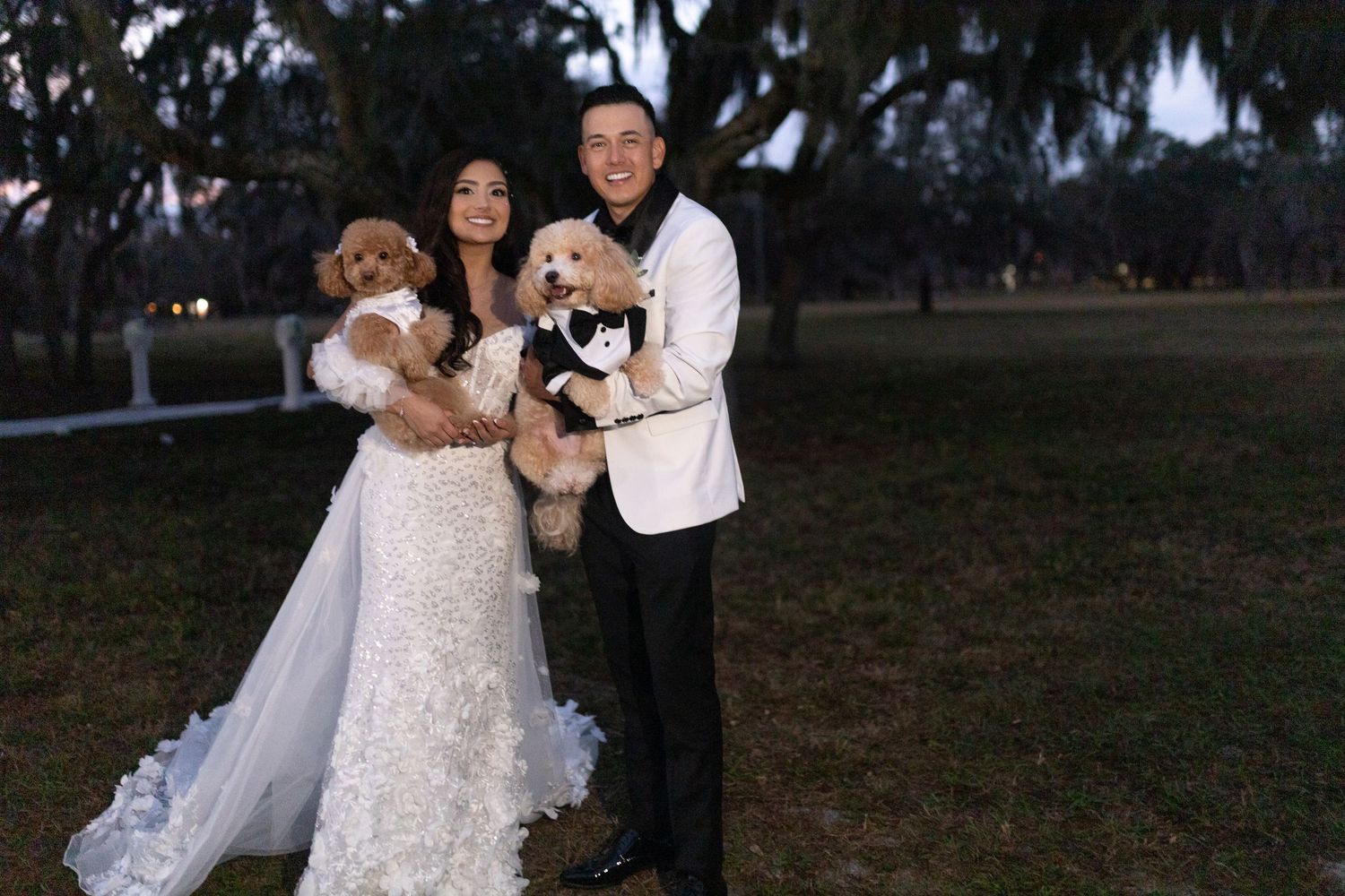 A couple in wedding attire holds their small dogs while posing outdoors at dusk.