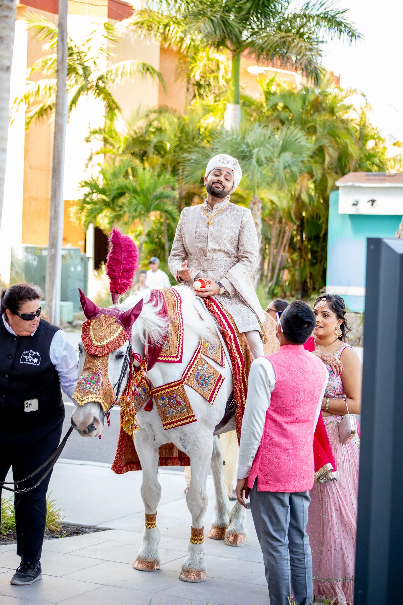 Decorated white horses with traditional Indian wedding attire and handlers walking in procession.
