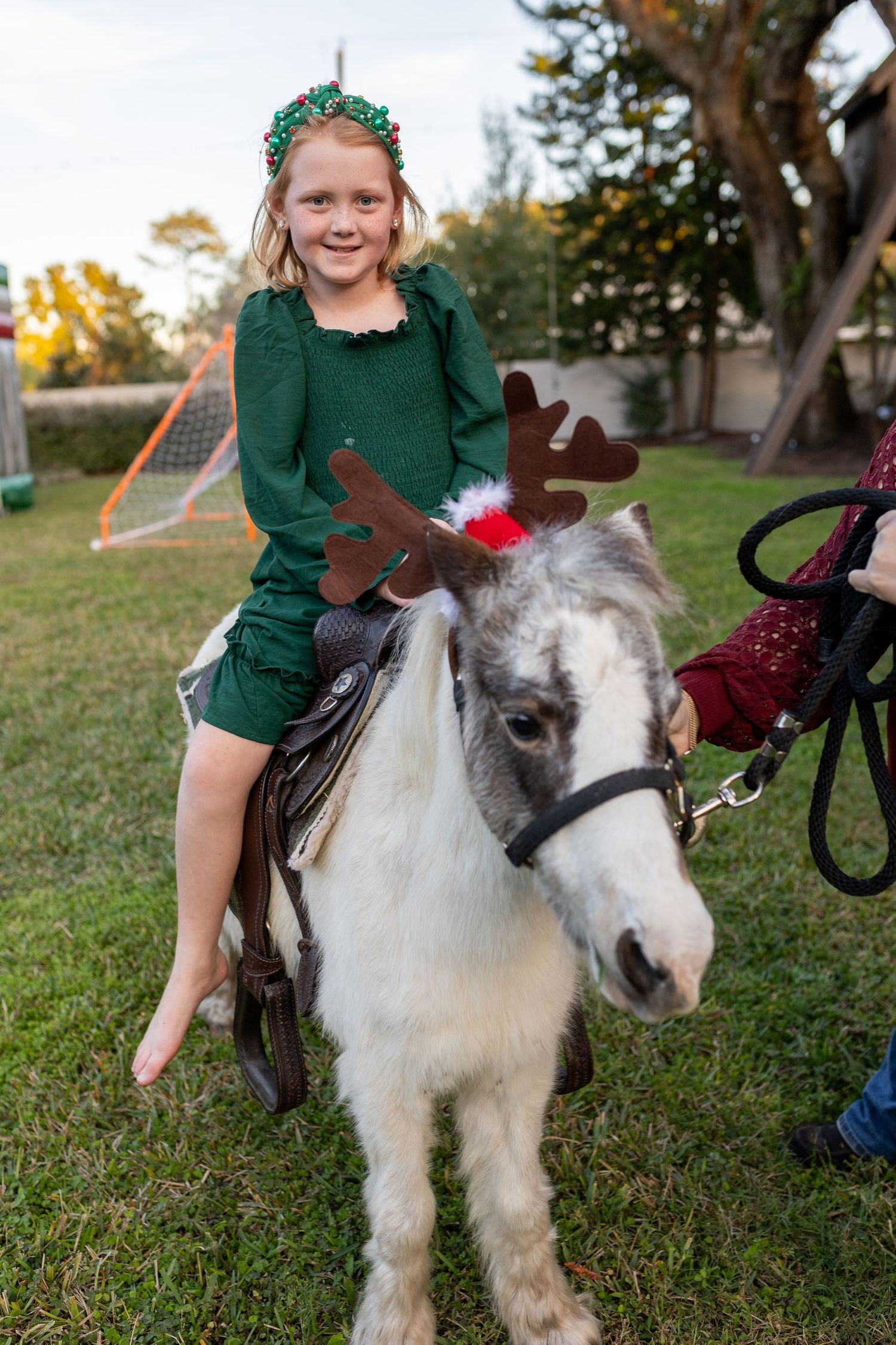 A small white pony with a saddle giving rides in a backyard setting.