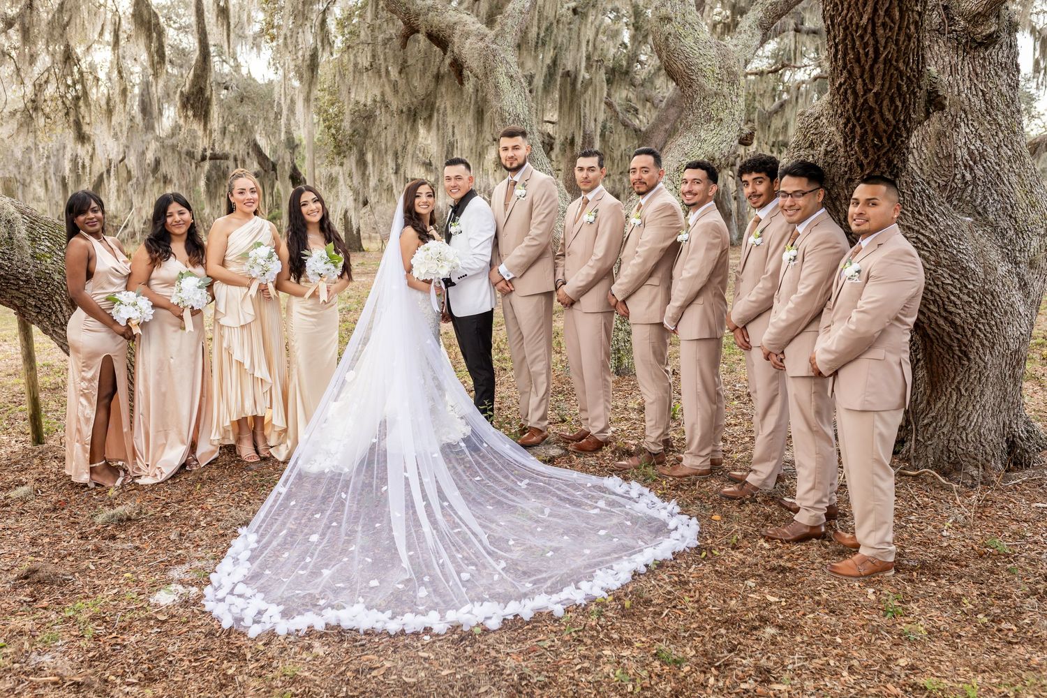 A wedding party poses beneath Spanish moss-covered oak trees in formal attire.