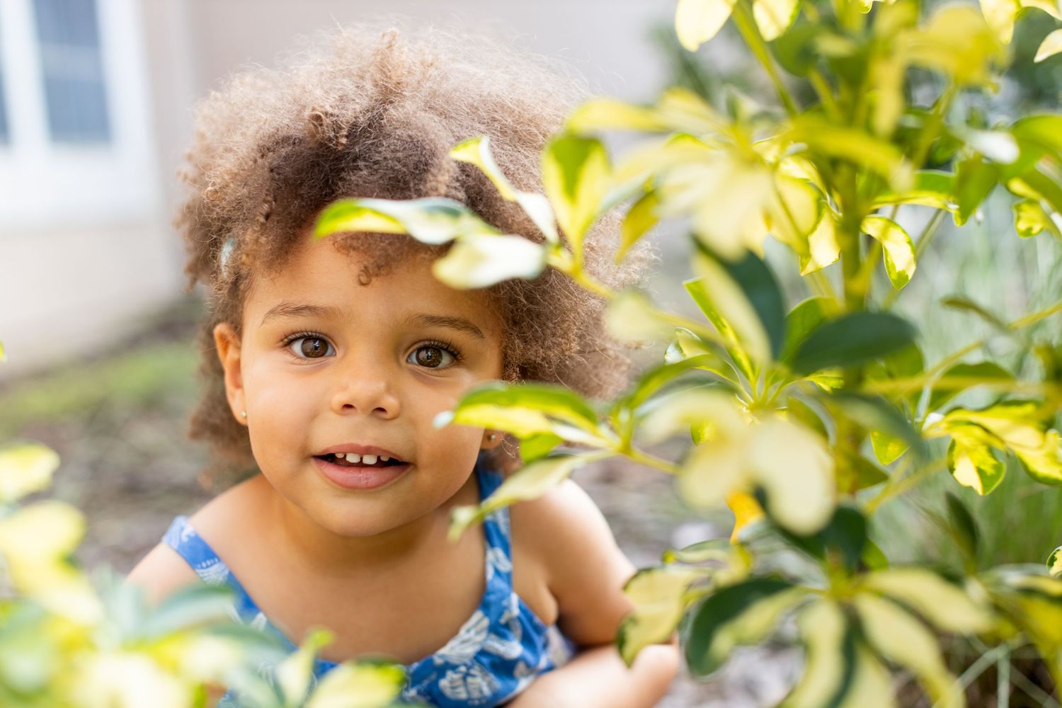 Child explores among green leaves in natural outdoor lighting.