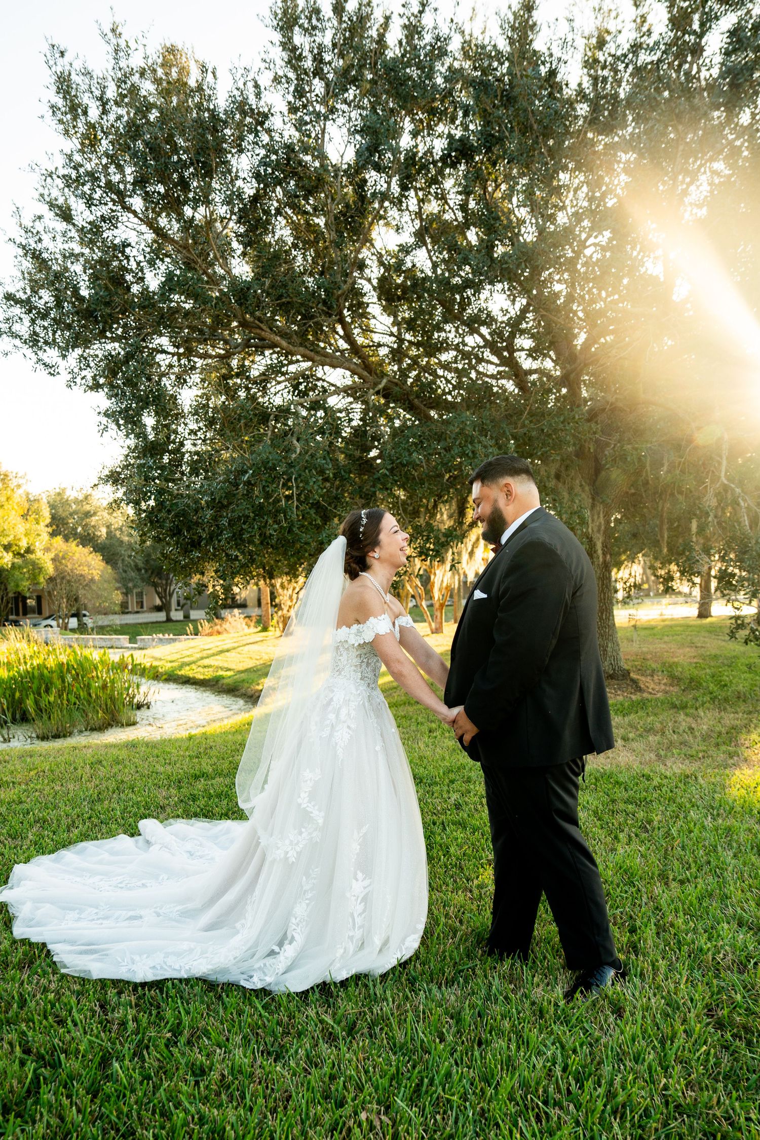 Bride and groom holding hands in golden sunset light beneath a large oak tree on lush green grass.