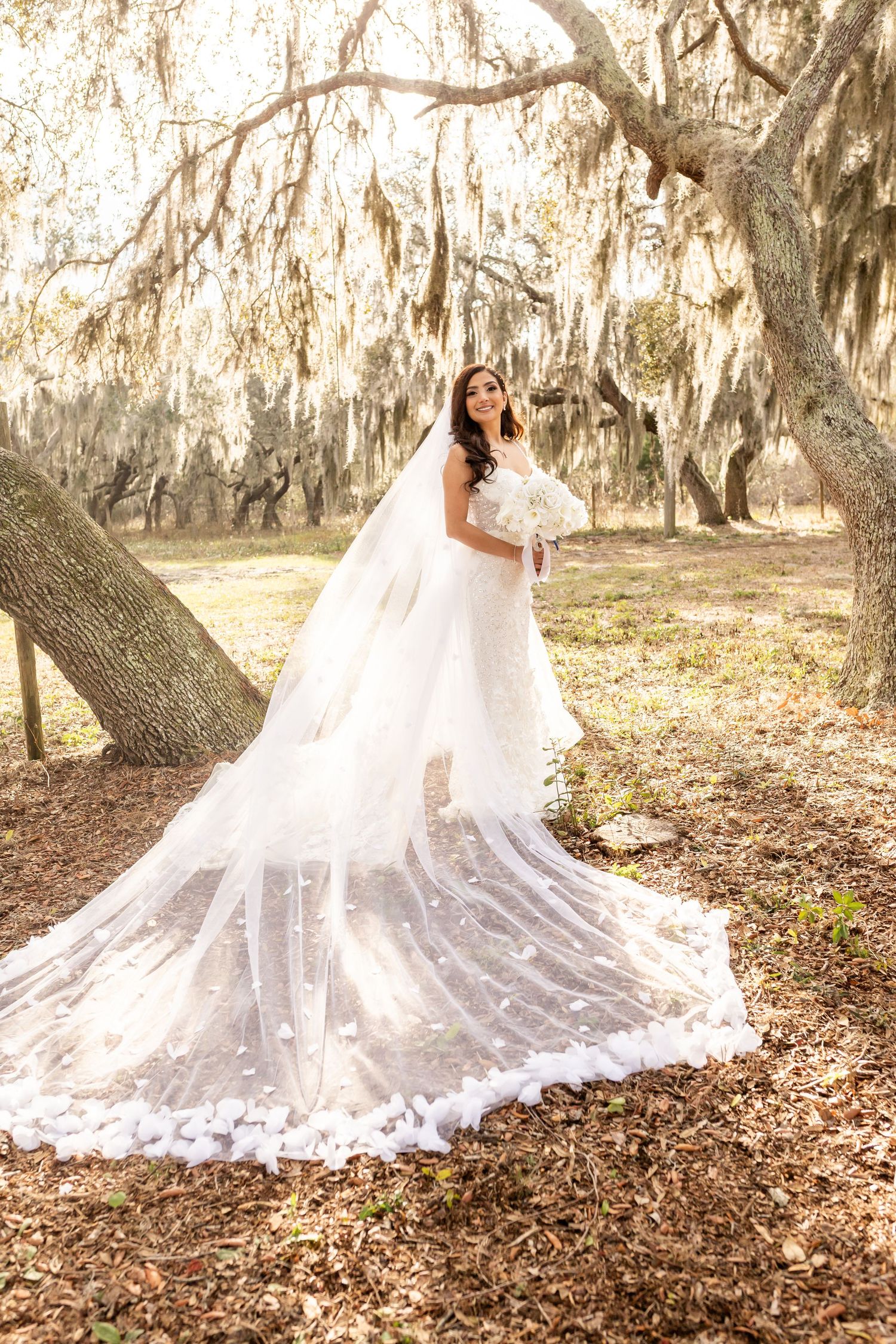 Bride in a stunning white lace gown with cathedral veil poses under Spanish moss-draped oak trees holding a white bouquet.