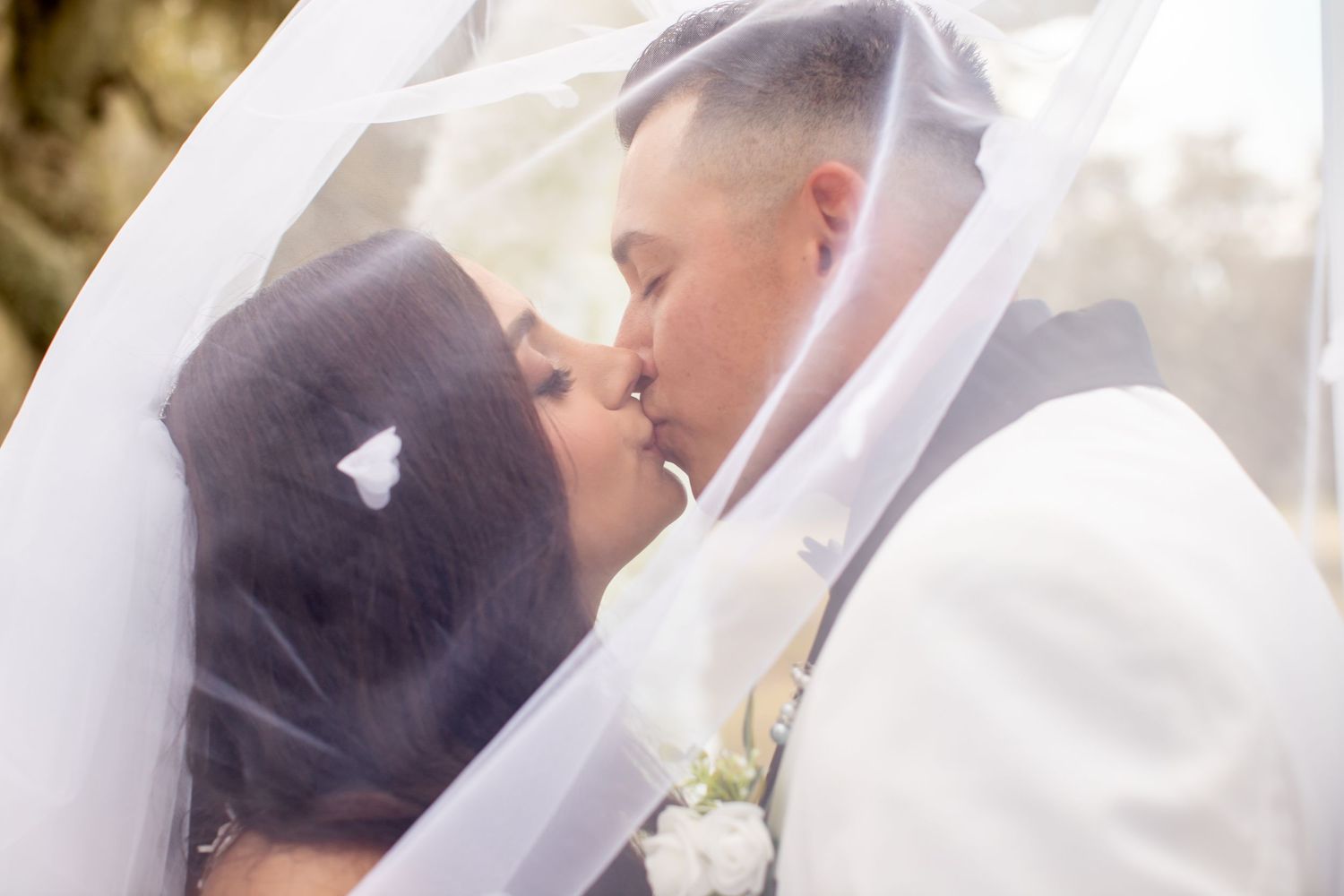 A romantic wedding moment captured under a flowing white veil in natural outdoor lighting.
