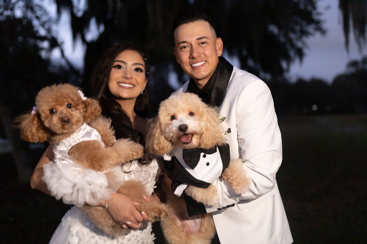 A couple holds their small dogs dressed in formal wedding attire during outdoor portraits.