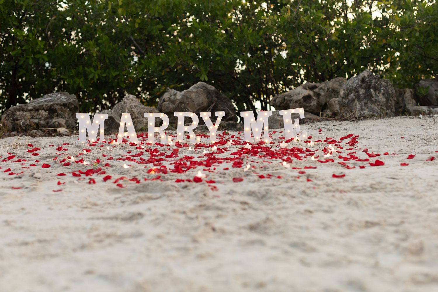 White MARRY ME letters with red rose petals on sandy beach with lush green trees backdrop for romantic proposal.