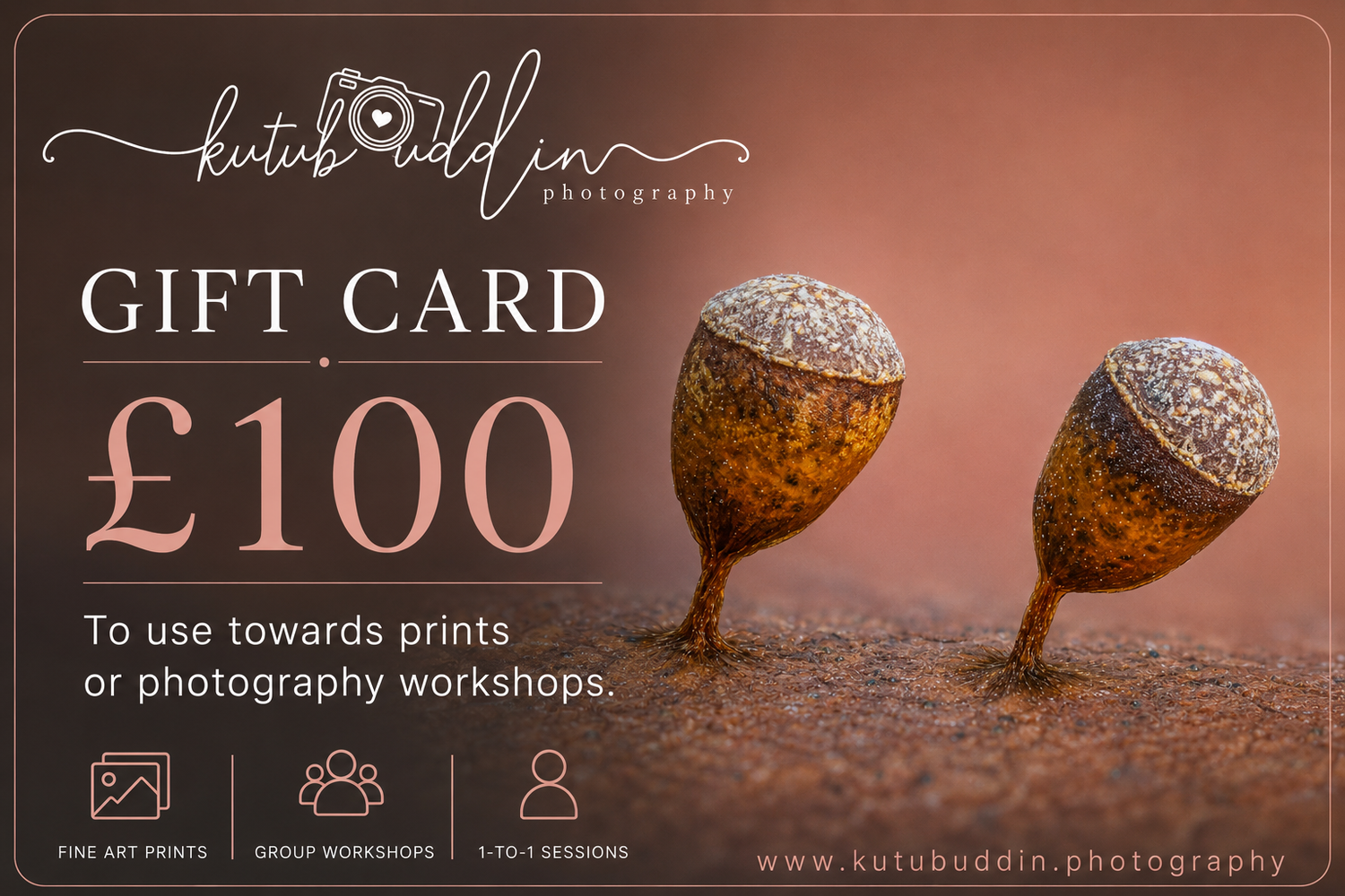 Kutubuddin Photography £100 gift card for fine art prints or photography workshops, featuring two acorns on a dark background.