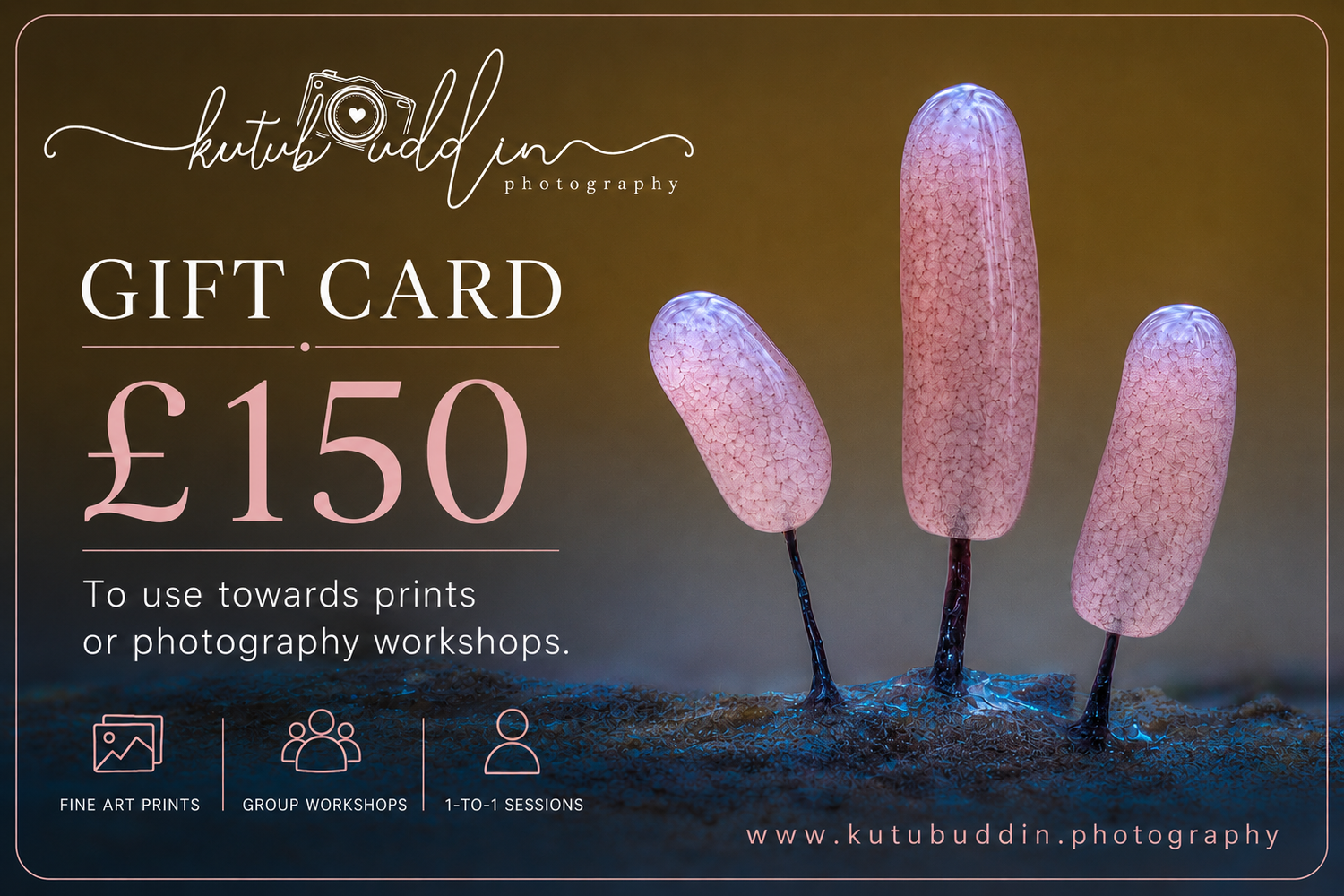 Kutu Buddin Photography £150 gift card featuring macro slime mold art print, redeemable for prints or photography workshops.