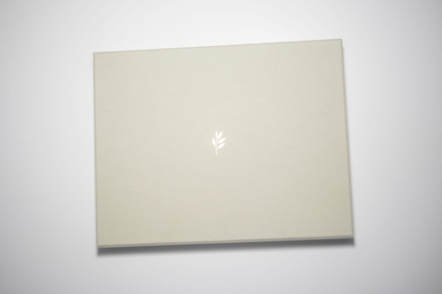 Minimalist cream hardcover book with small white botanical leaf emblem centered on cover.