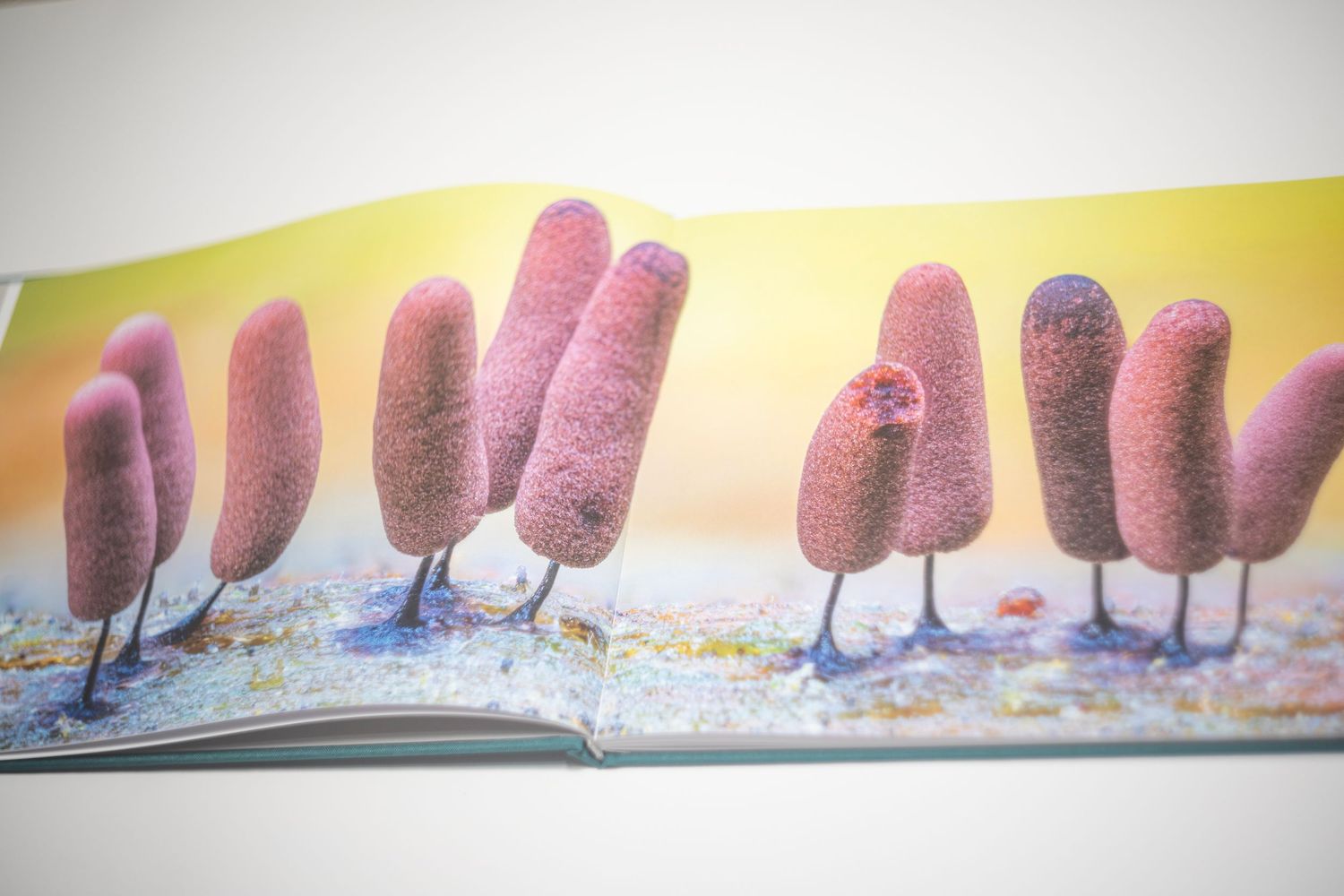 Open book displaying whimsical illustrated pink fuzzy trees with thin legs standing in a colorful landscape.