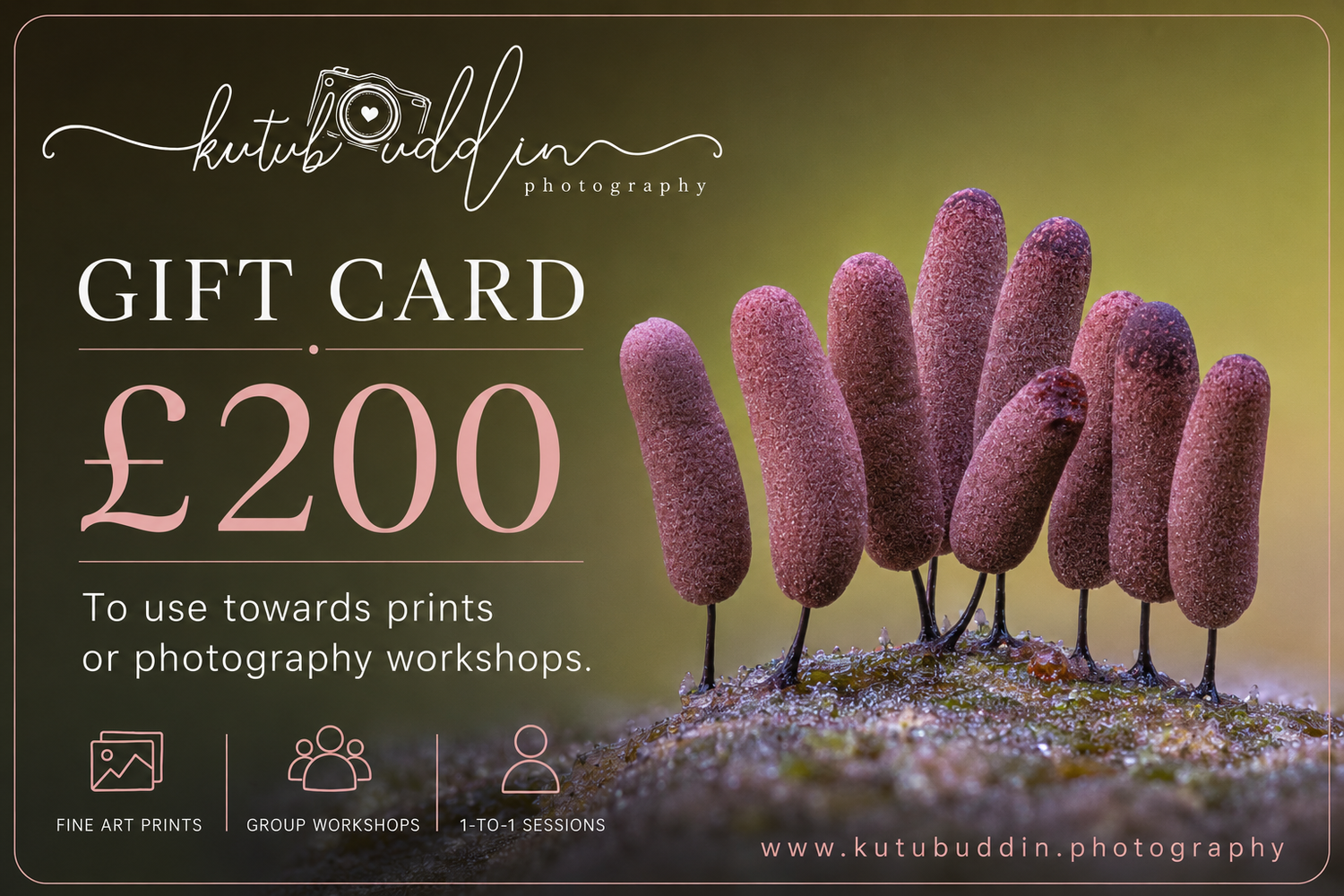 Kutu Buddin Photography £200 gift card for fine art prints or photography workshops, featuring purple finger-like fungi on moss.