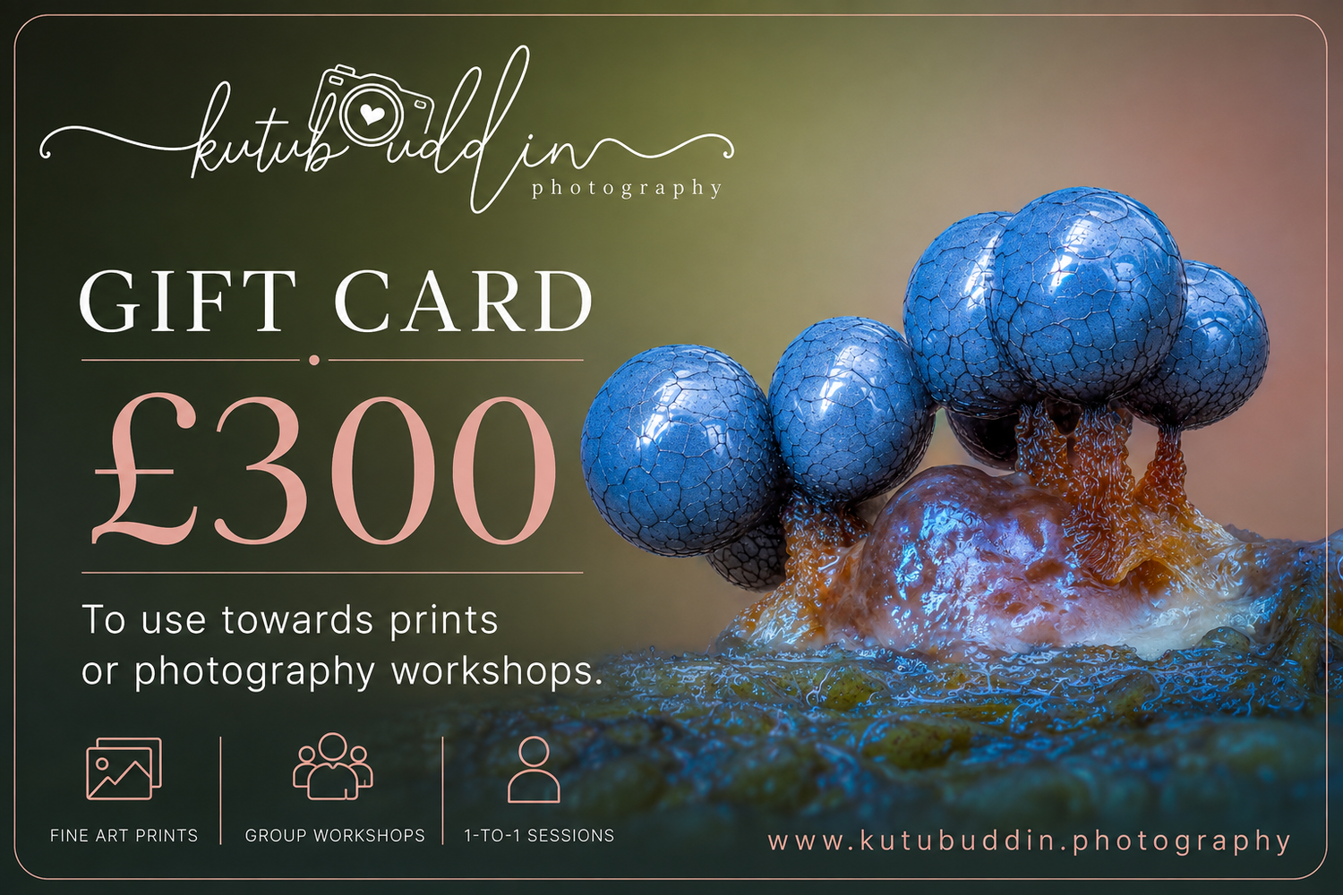 Kuto Buddin Photography £300 gift card for fine art prints or photography workshops, featuring a macro photo of blue fungi.