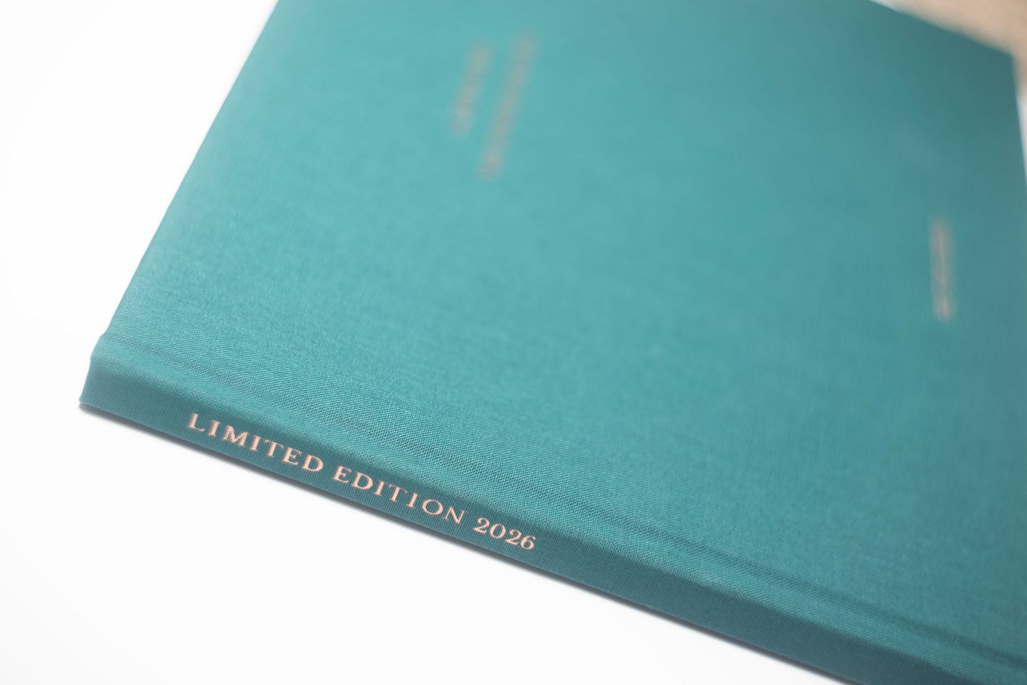 Teal hardcover limited edition 2030 book with gold embossed text on spine, photographed on white background.