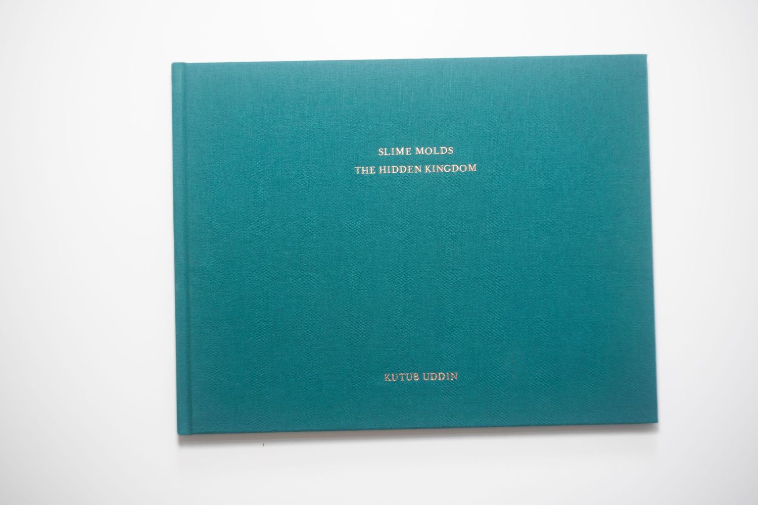 Teal hardcover book titled The Hidden Kingdom by Elspke Woolos displayed on a white background.