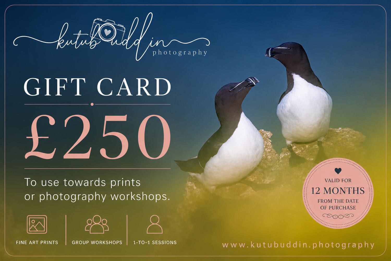 Kutubaddin Photography £250 gift card featuring two razorbill birds, valid for prints or photography workshops for 12 months.